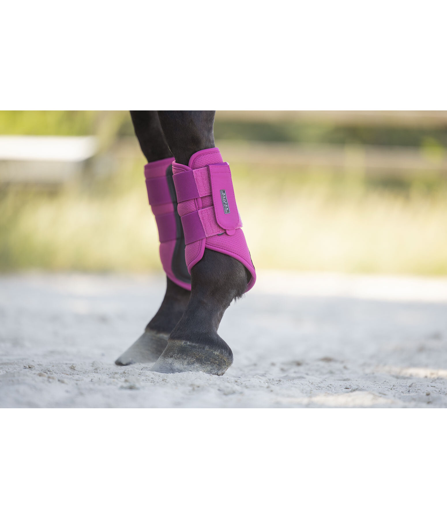 functionele peesbeschermers Mesh Technology (voorbenen)