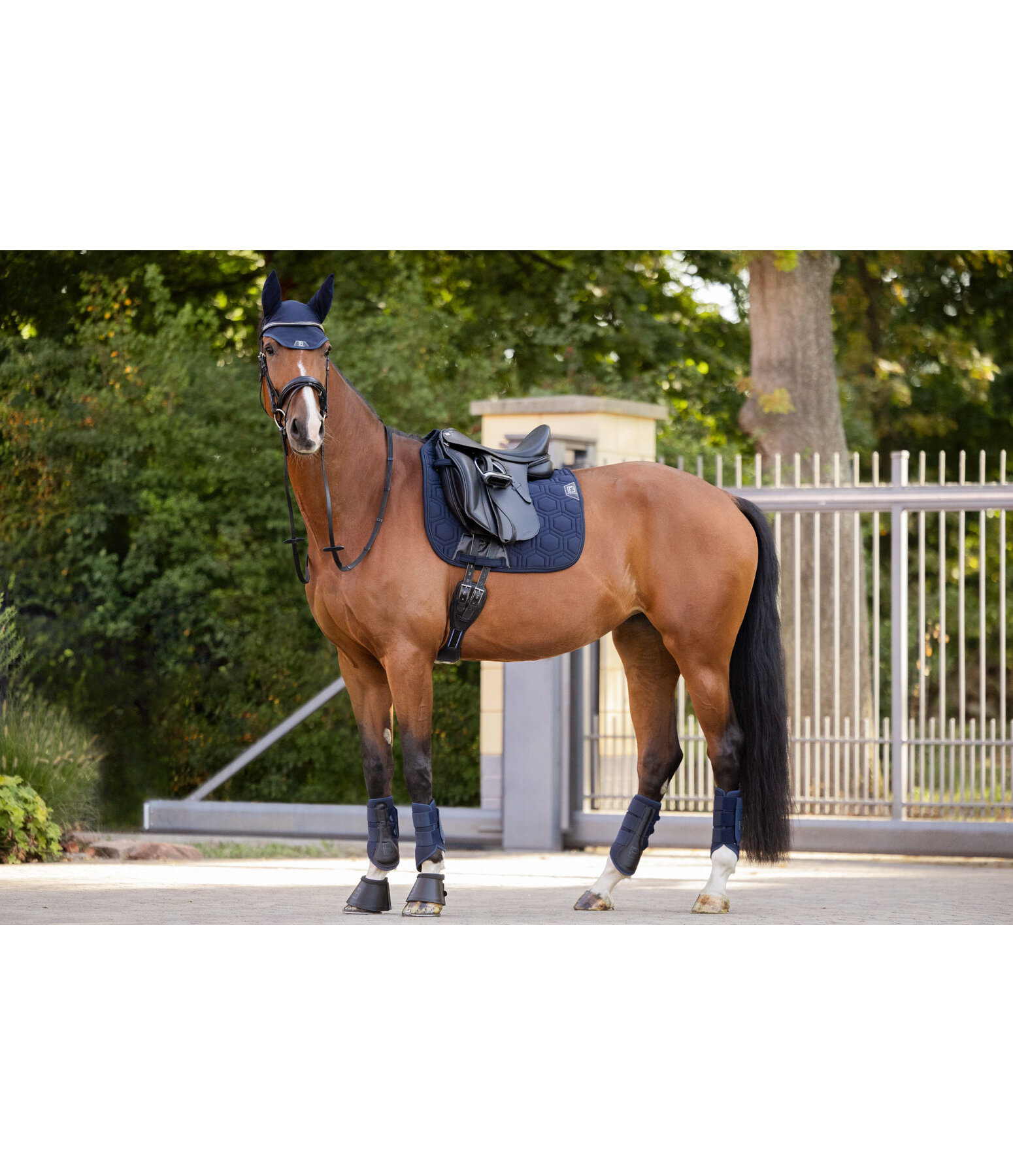 functionele peesbeschermers Mesh Technology (voorbenen)