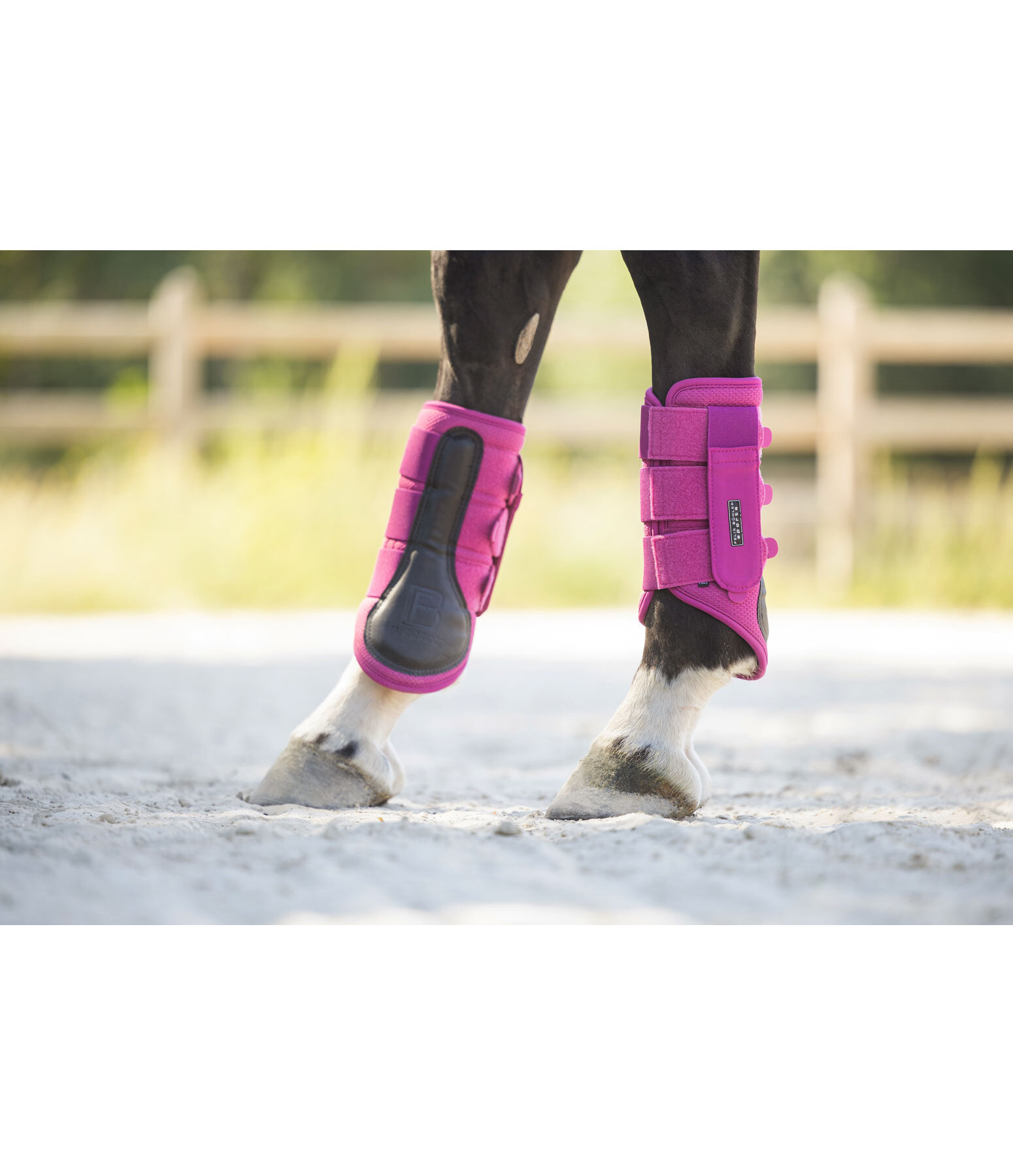 functionele peesbeschermers Mesh Technology (achterbenen)