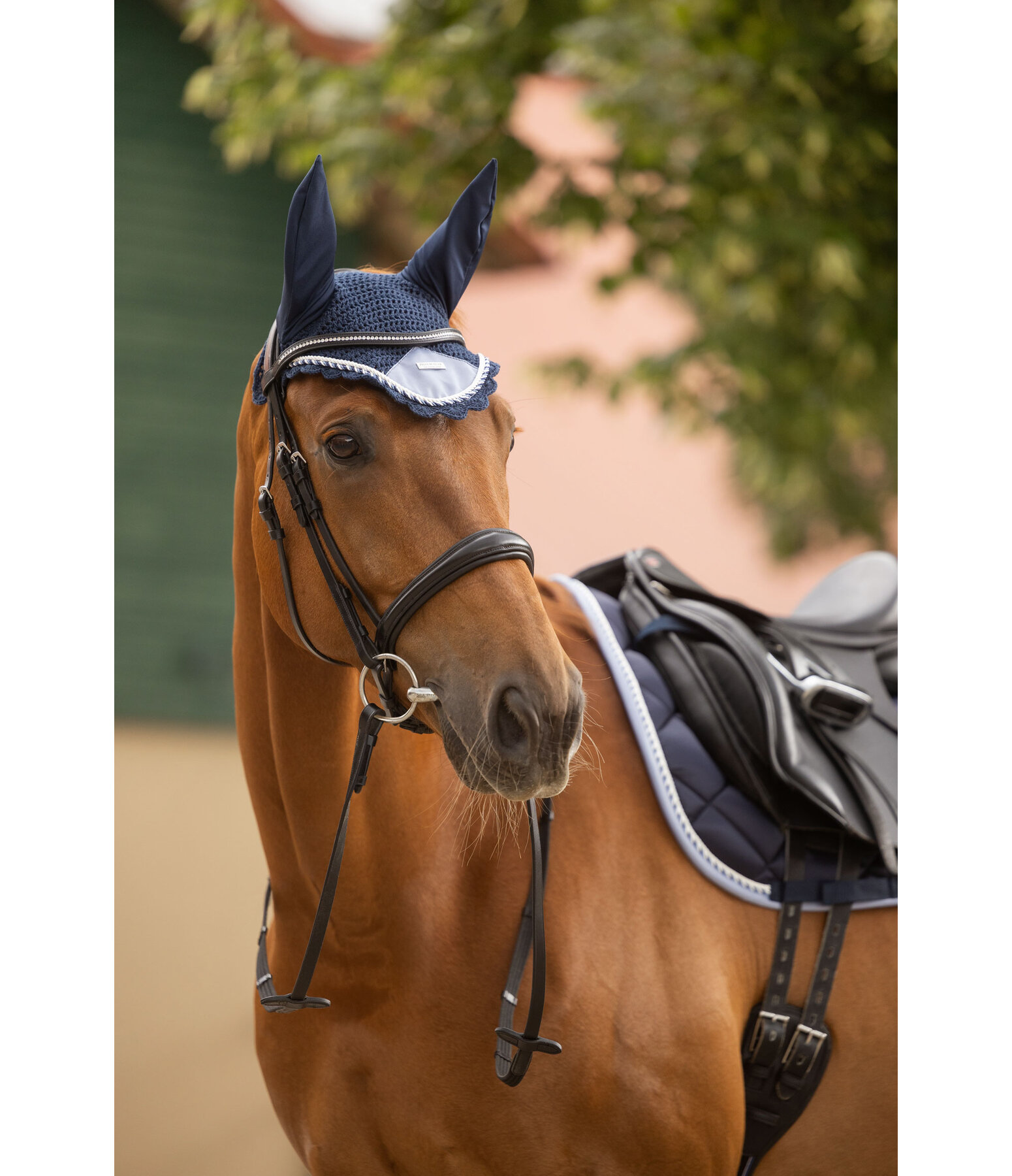 oornetje Swiss Design