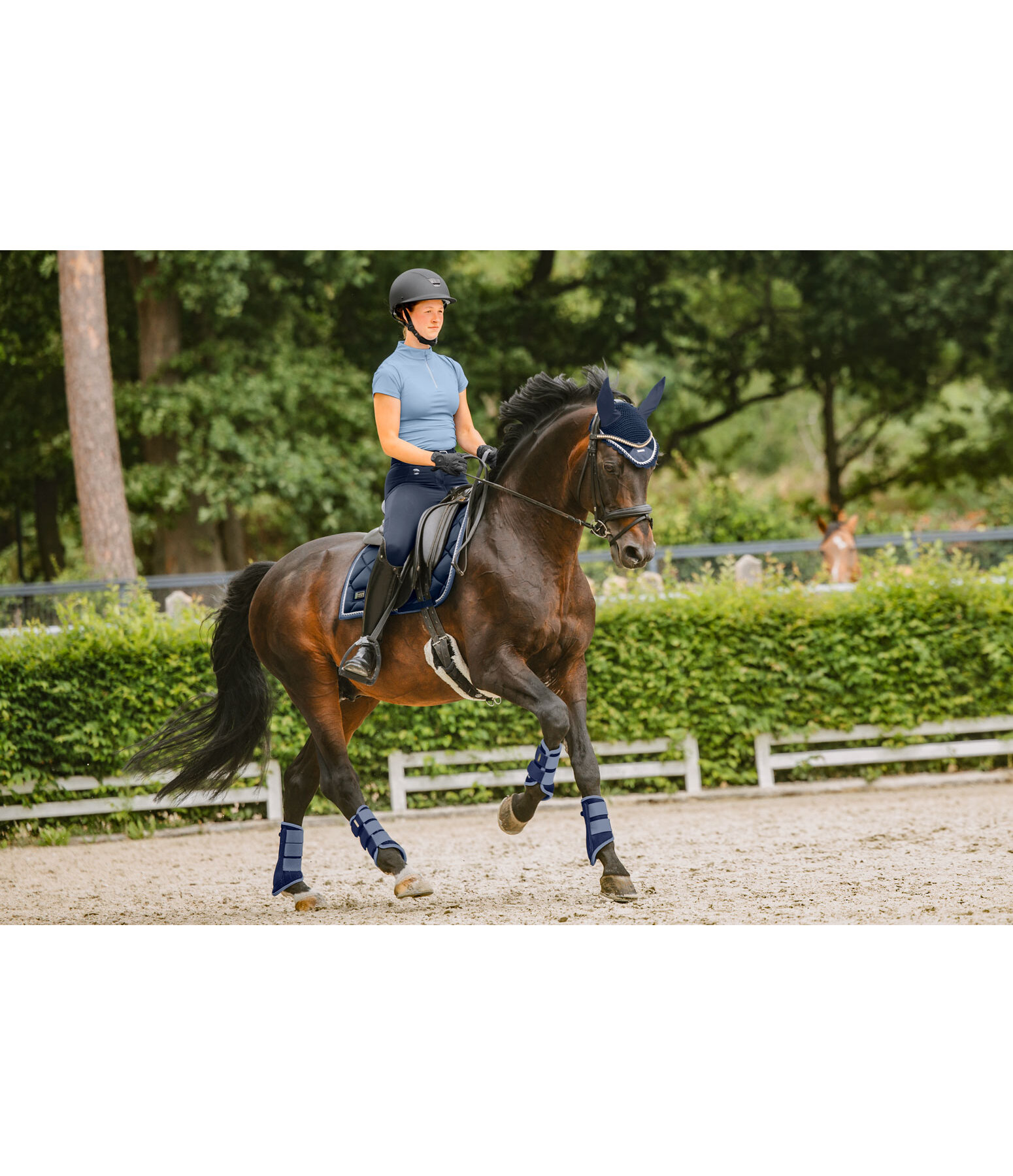 oornetje Swiss Design