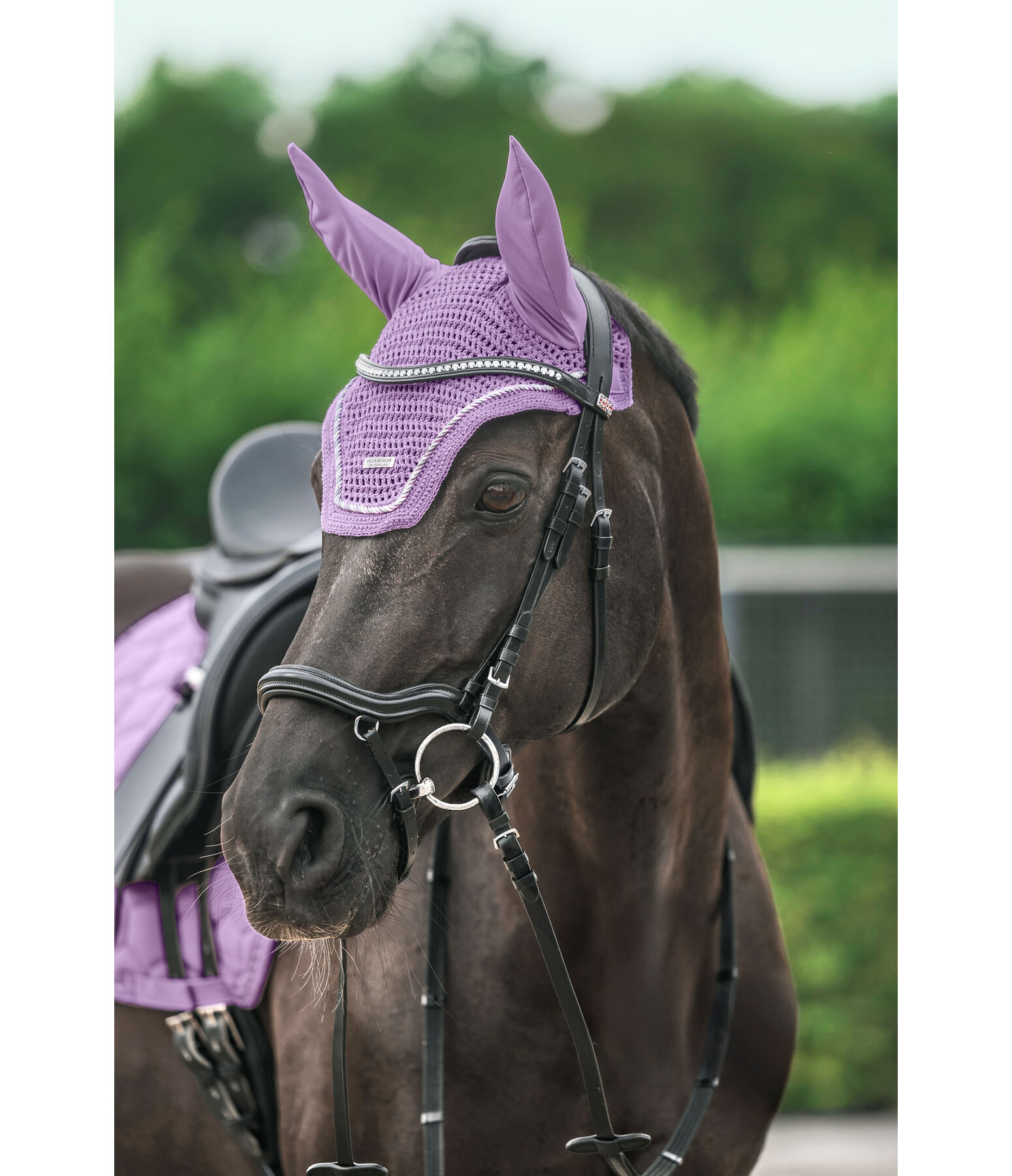 oornetje Sophistication