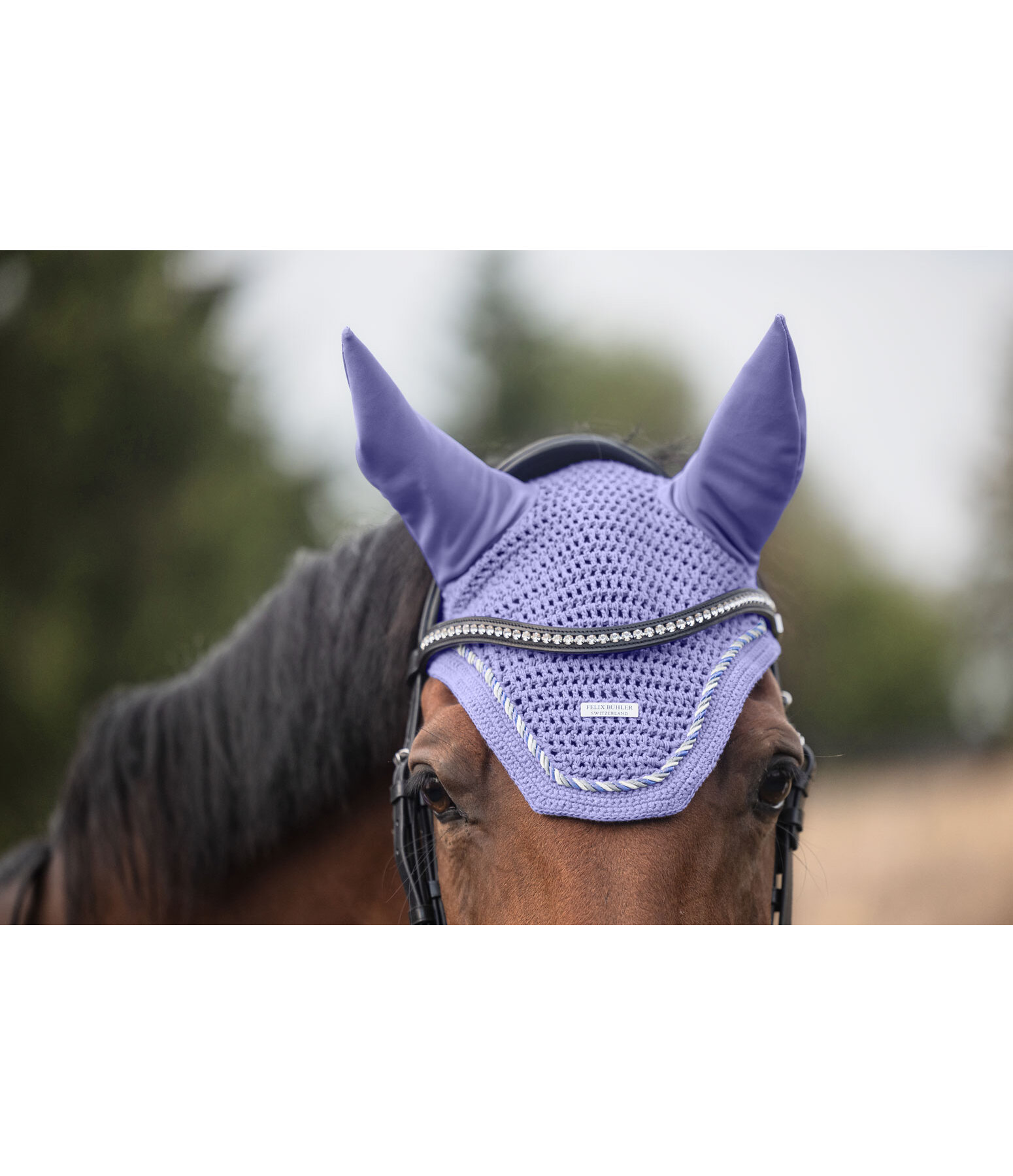 oornetje Sophistication