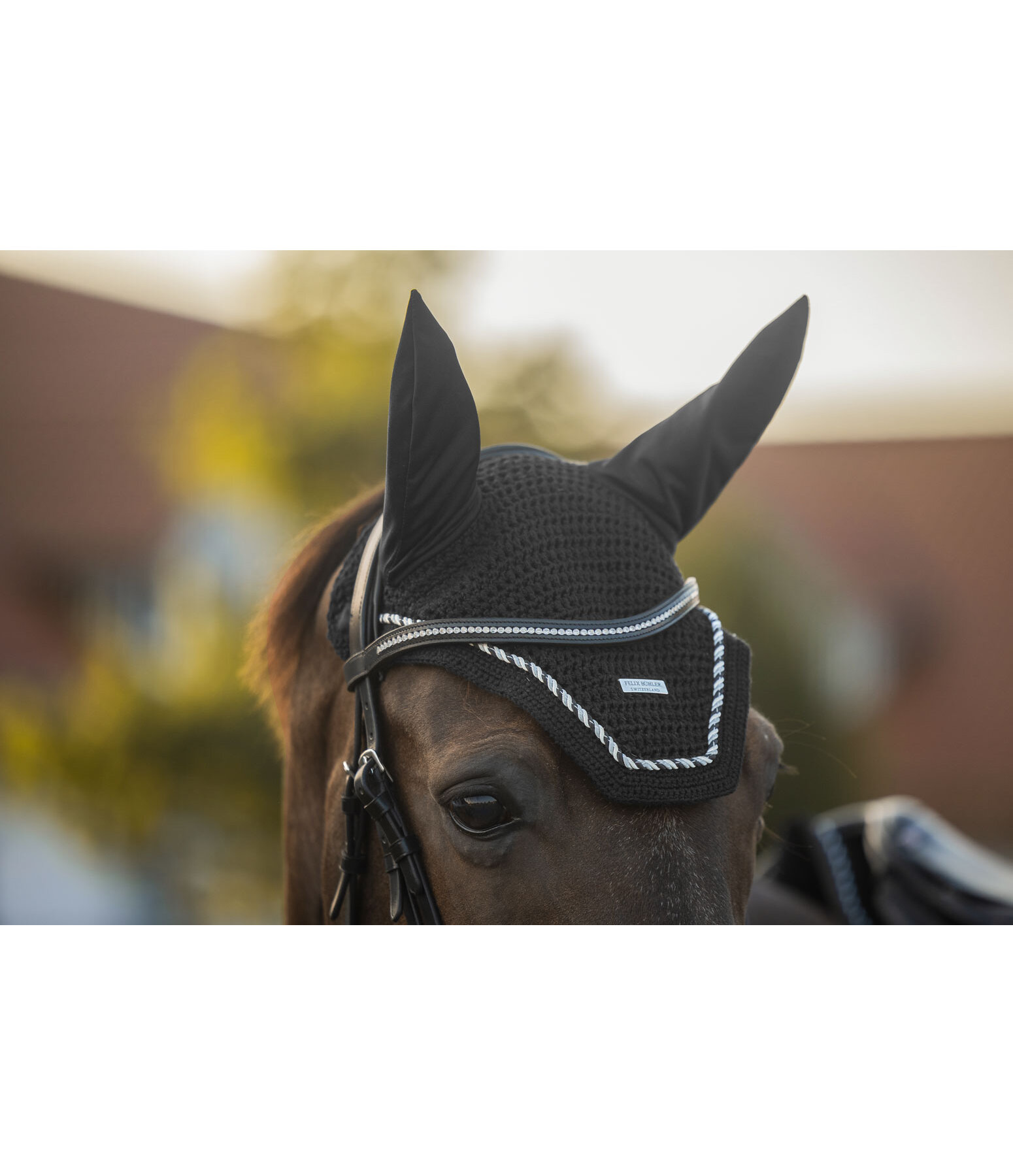 oornetje Sophistication