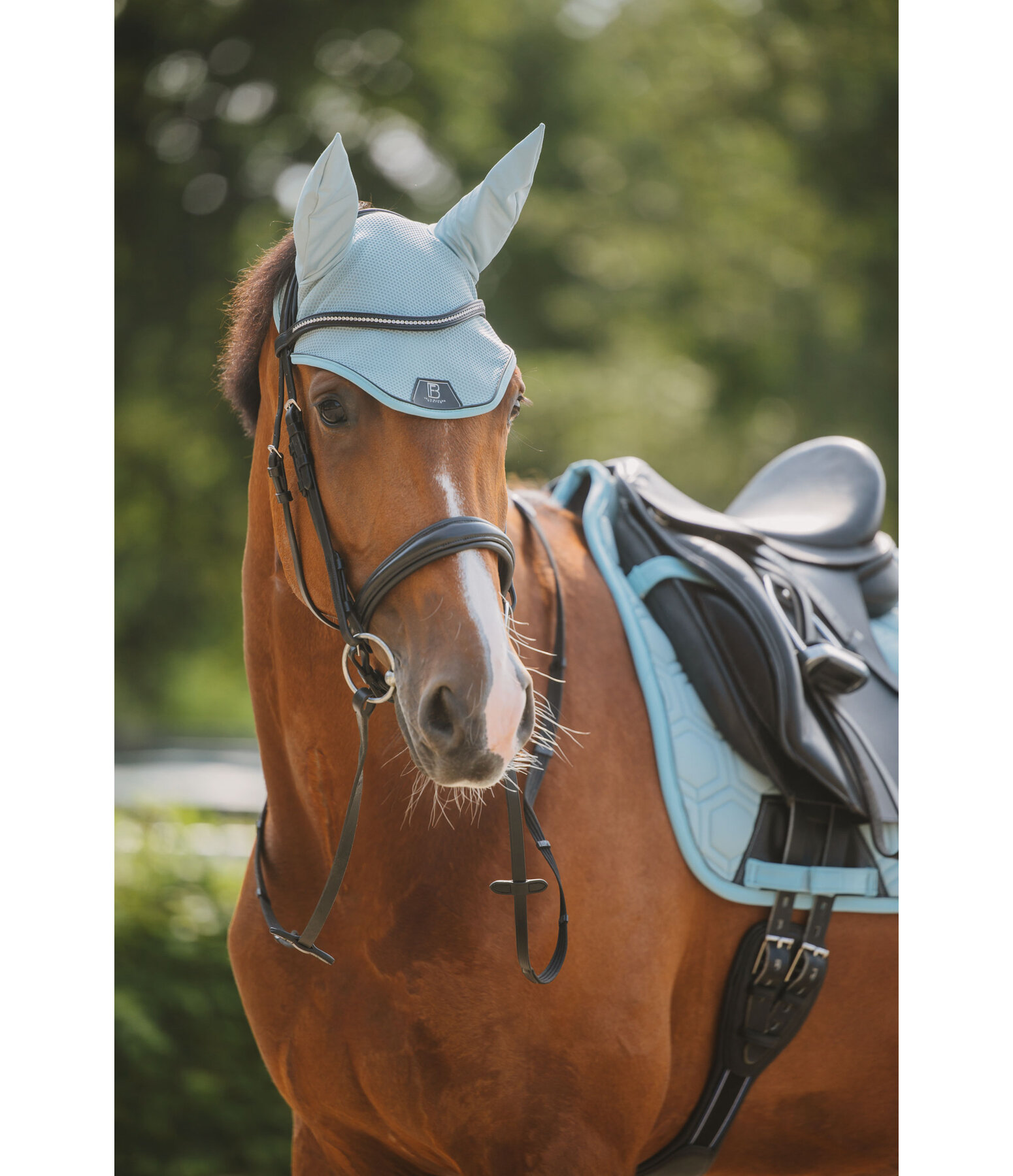 oornetje Mesh-technologie