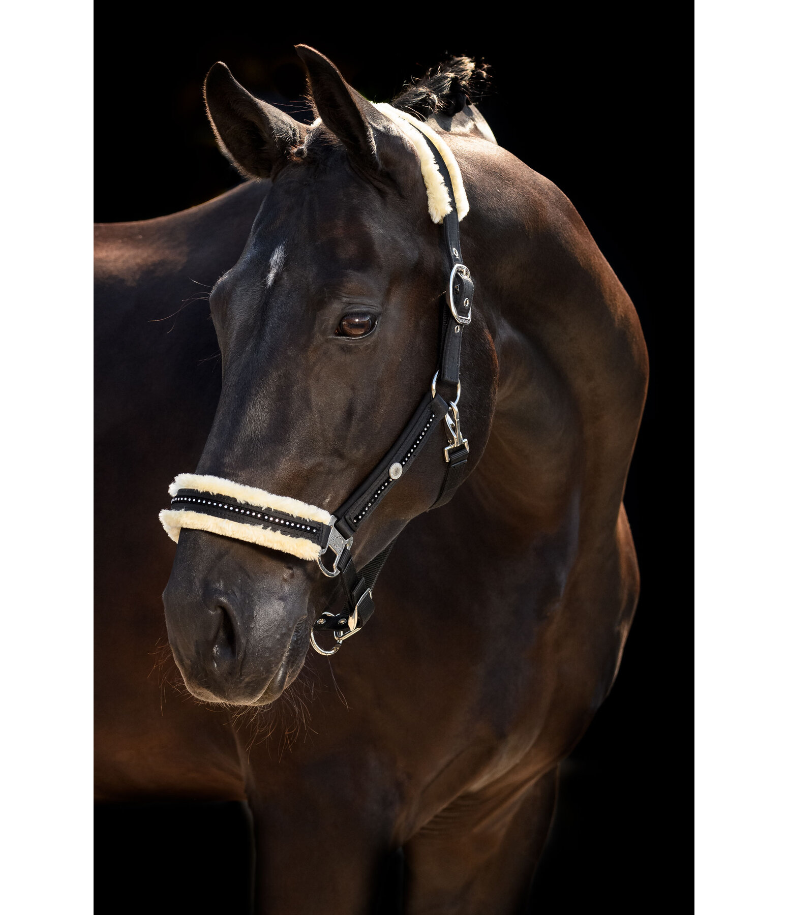 halster Luxury Diamonds