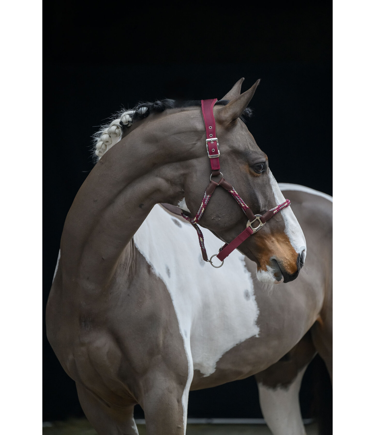 anatomisch halster Sophistication