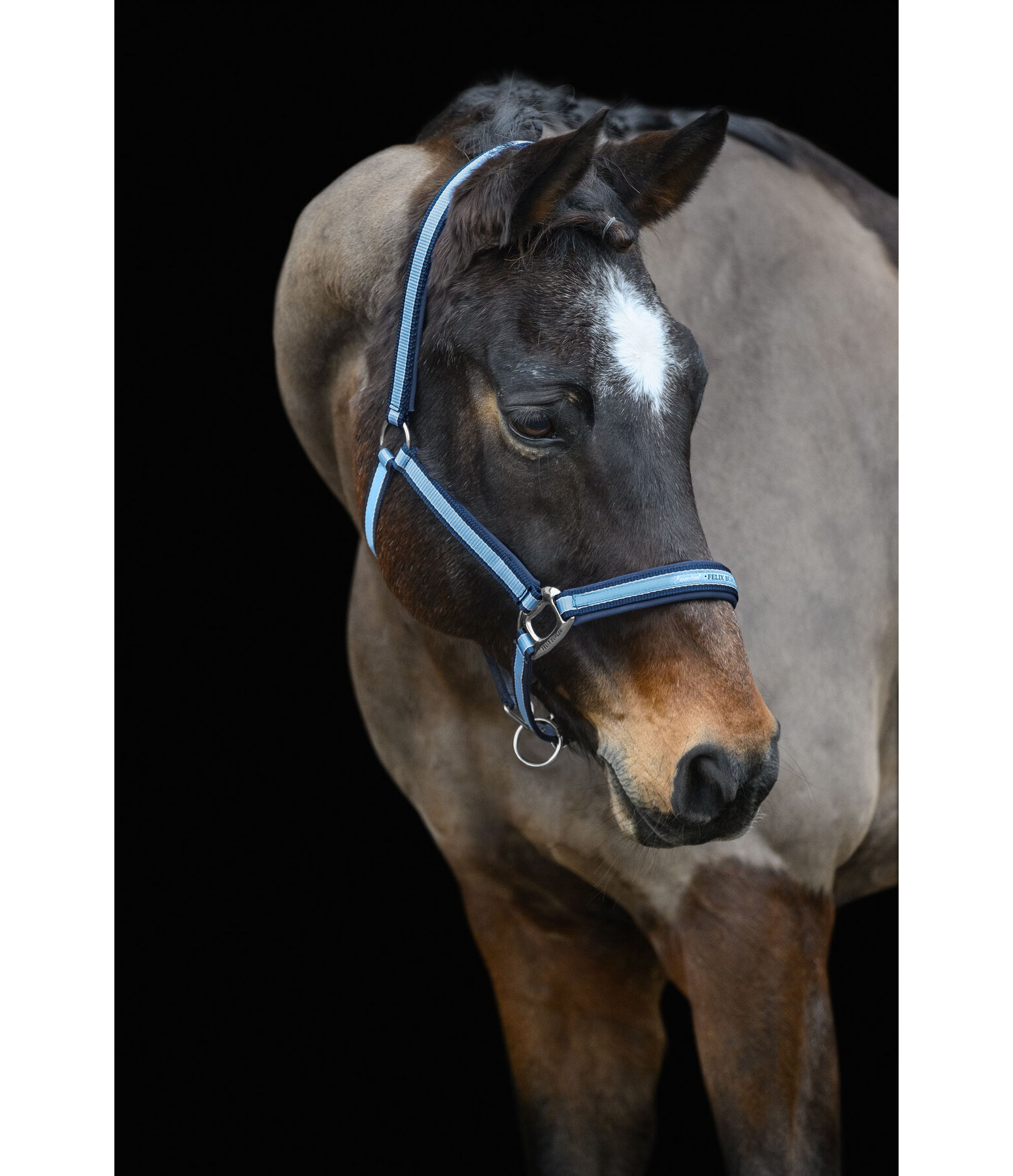 halster Essential II
