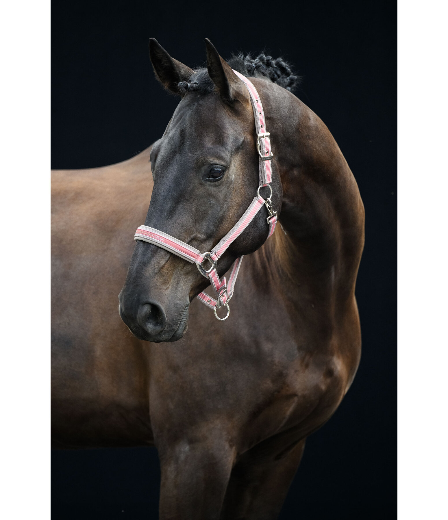 halster Essential II