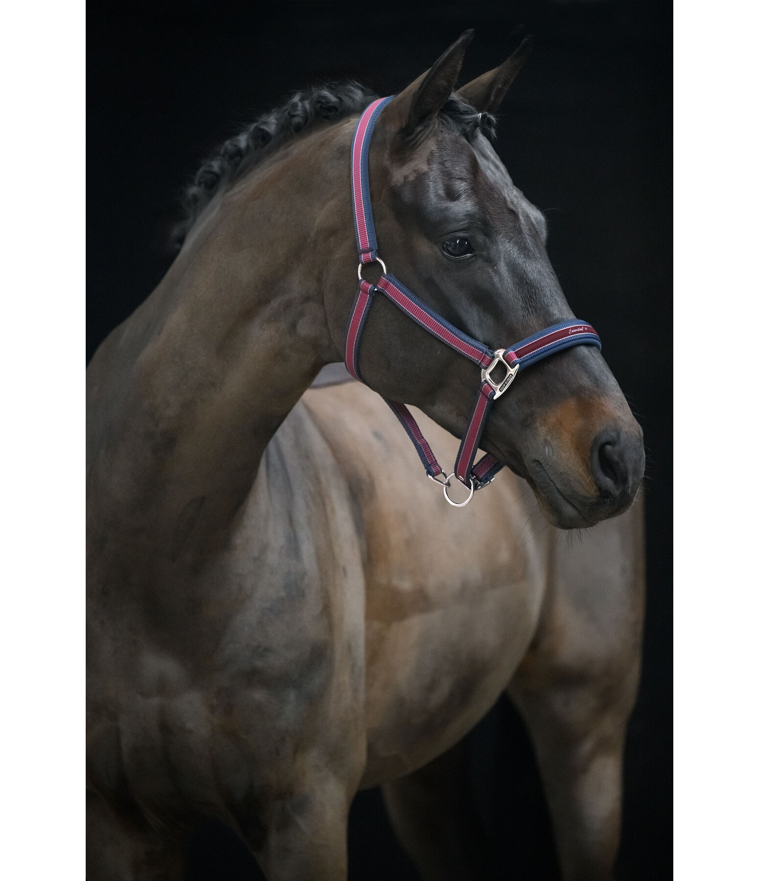 halster Essential II