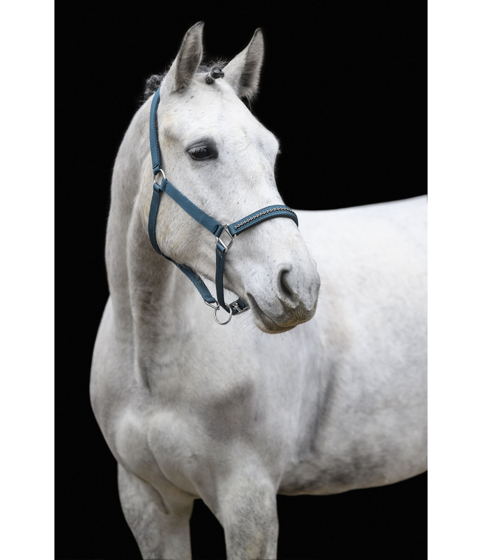 halster Twinkle