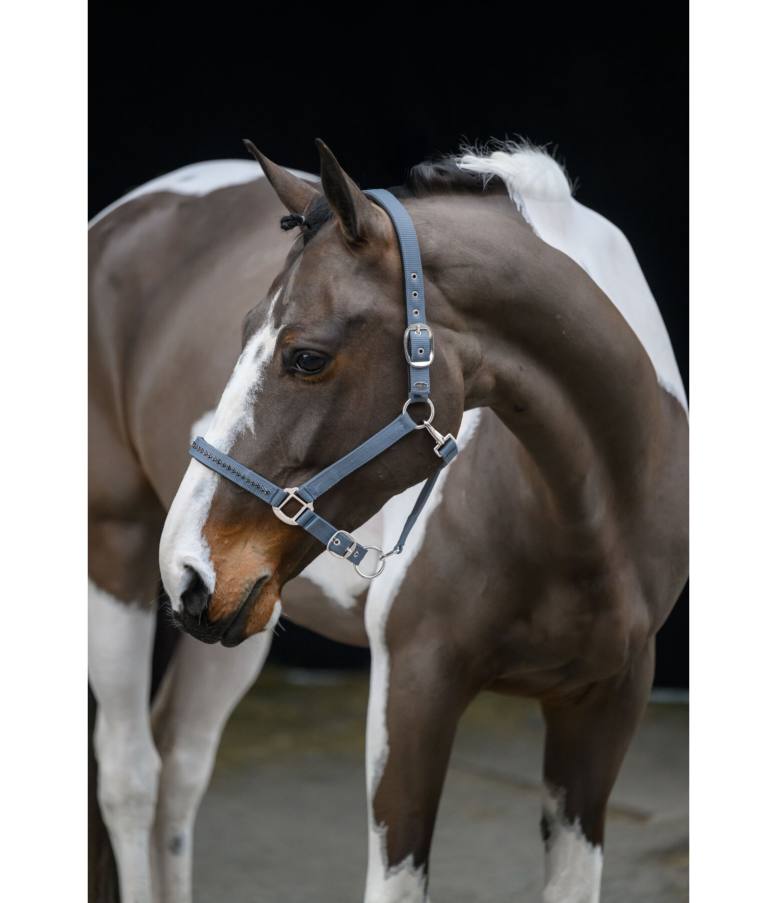 halster Twinkle