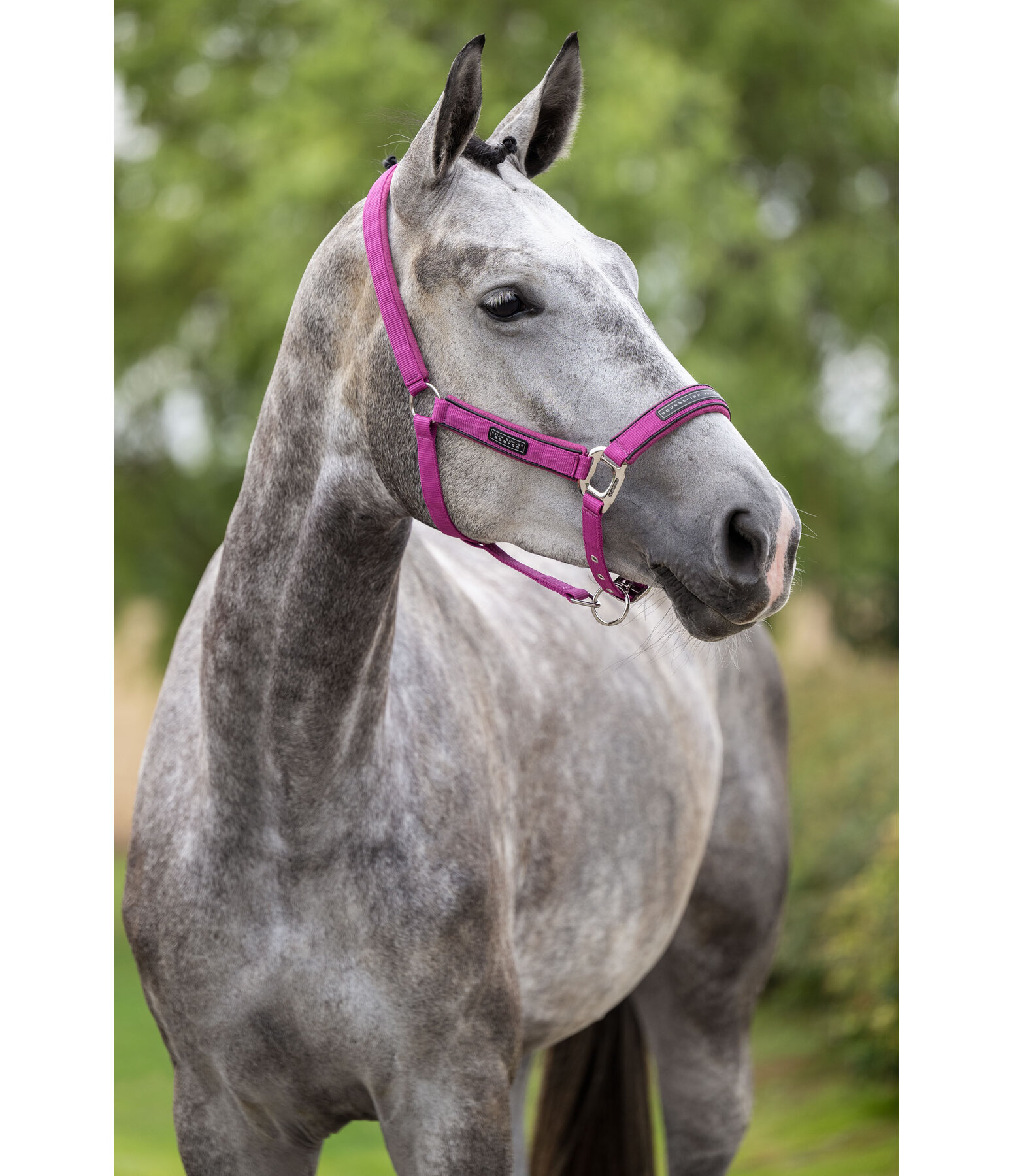 halster Mesh-Technology