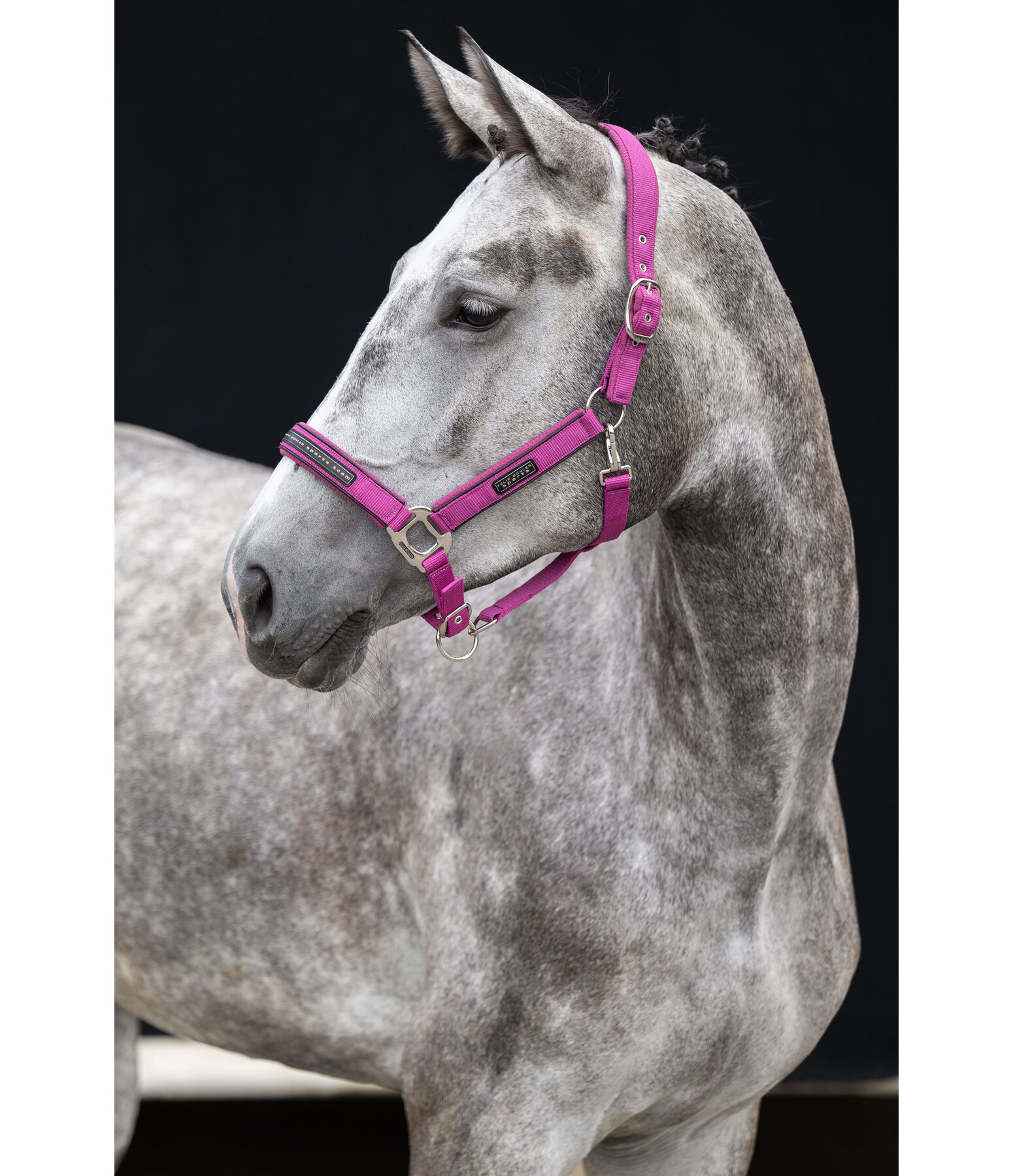 halster Mesh-Technology