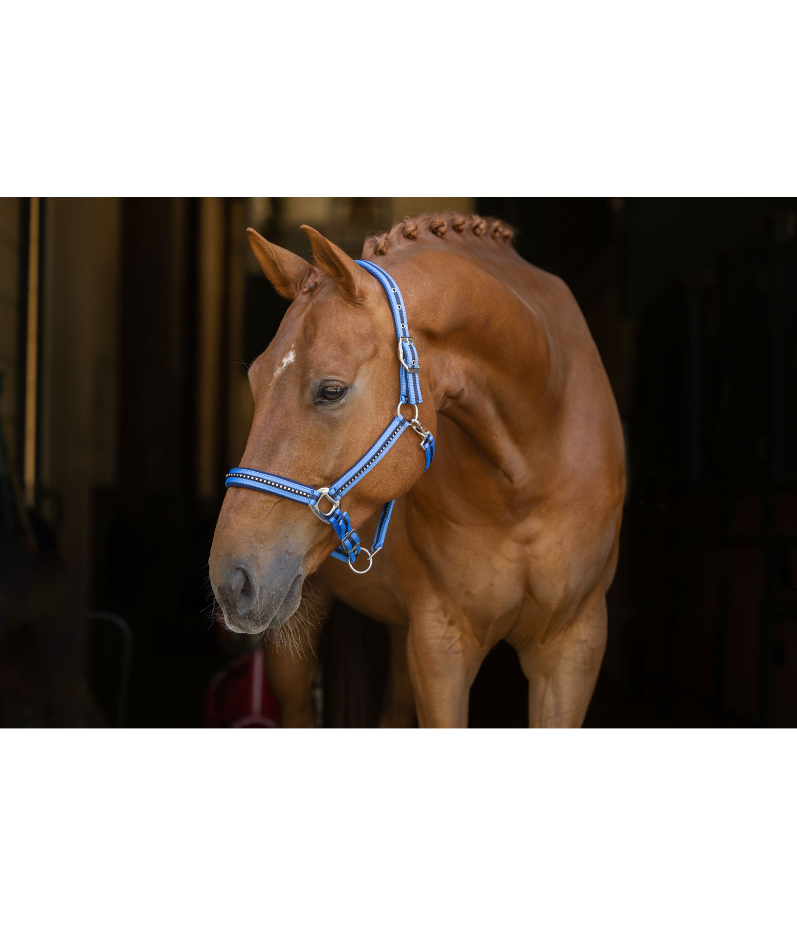 halster Twotone & Crystal