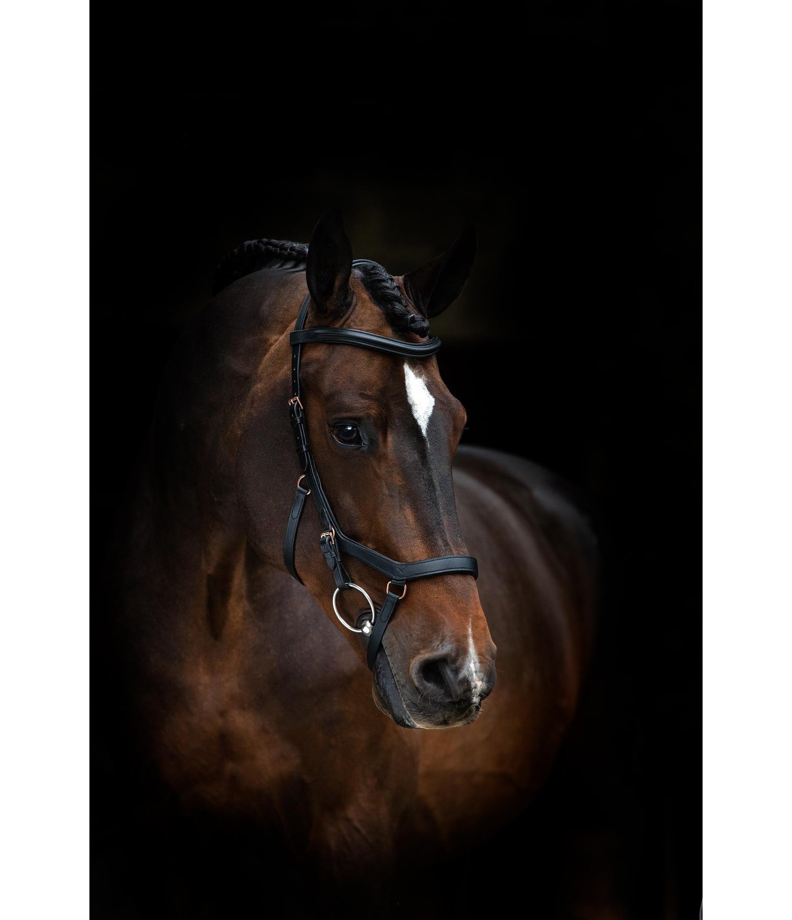 RAMBO MICKLEM Competition Bridle