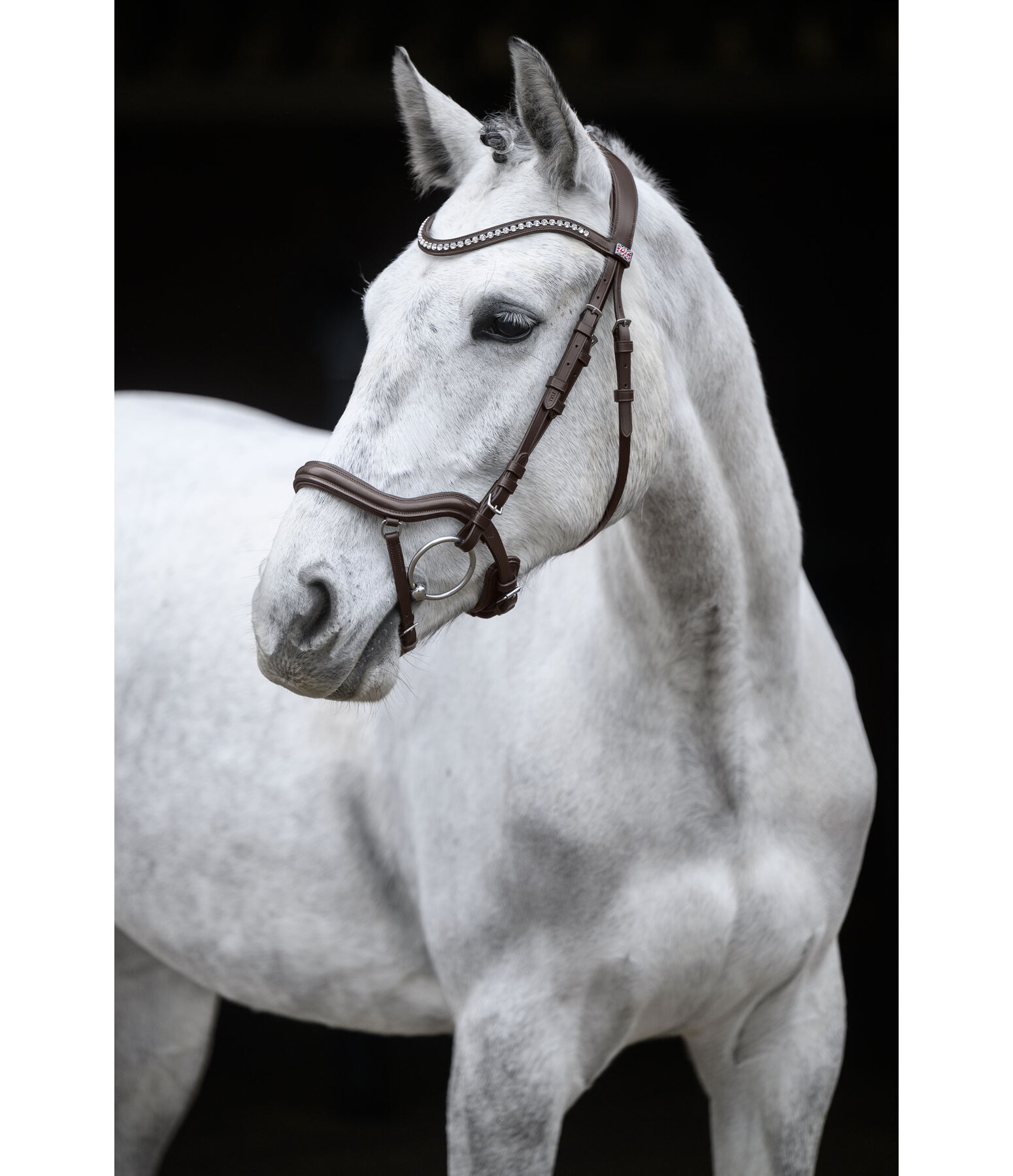Hoofdstel Melbourne