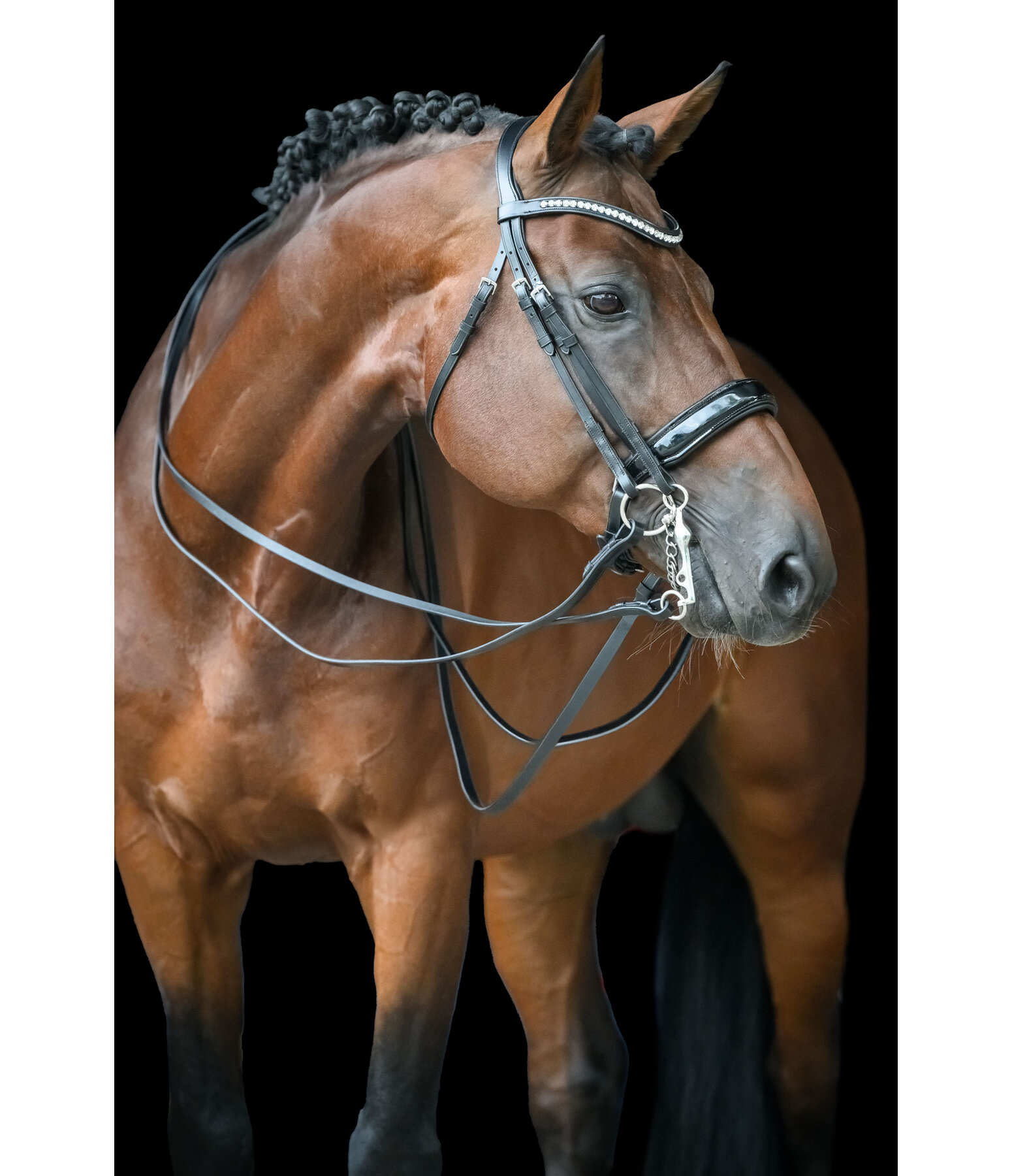 stang hoofdstel Dressage II