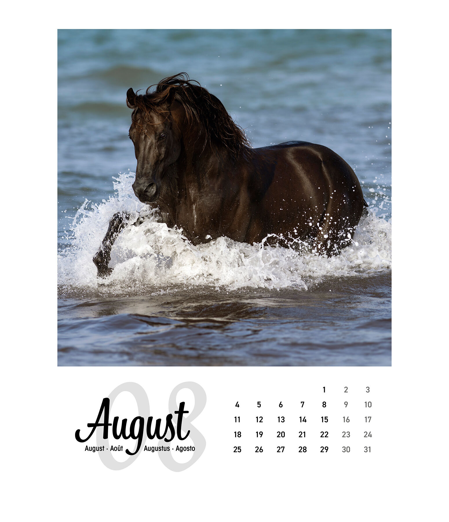 Paardenkalender 2026