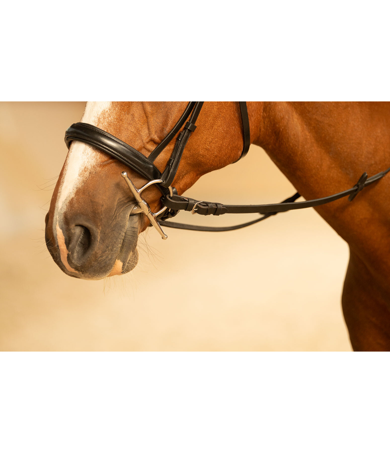 kneveltrens met olijfkop dubbel gebroken 16 mm