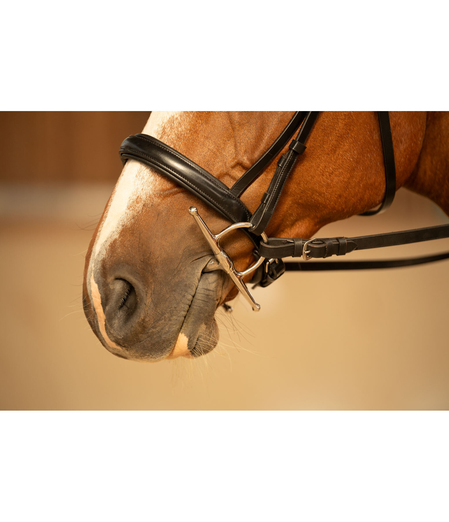 kneveltrens met olijfkop dubbel gebroken 16 mm