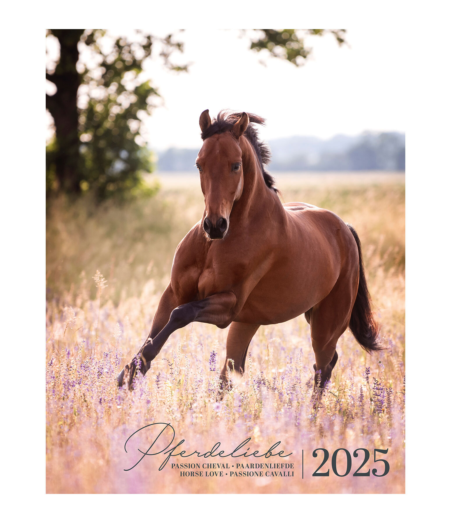 Kalender paardenliefde 2025