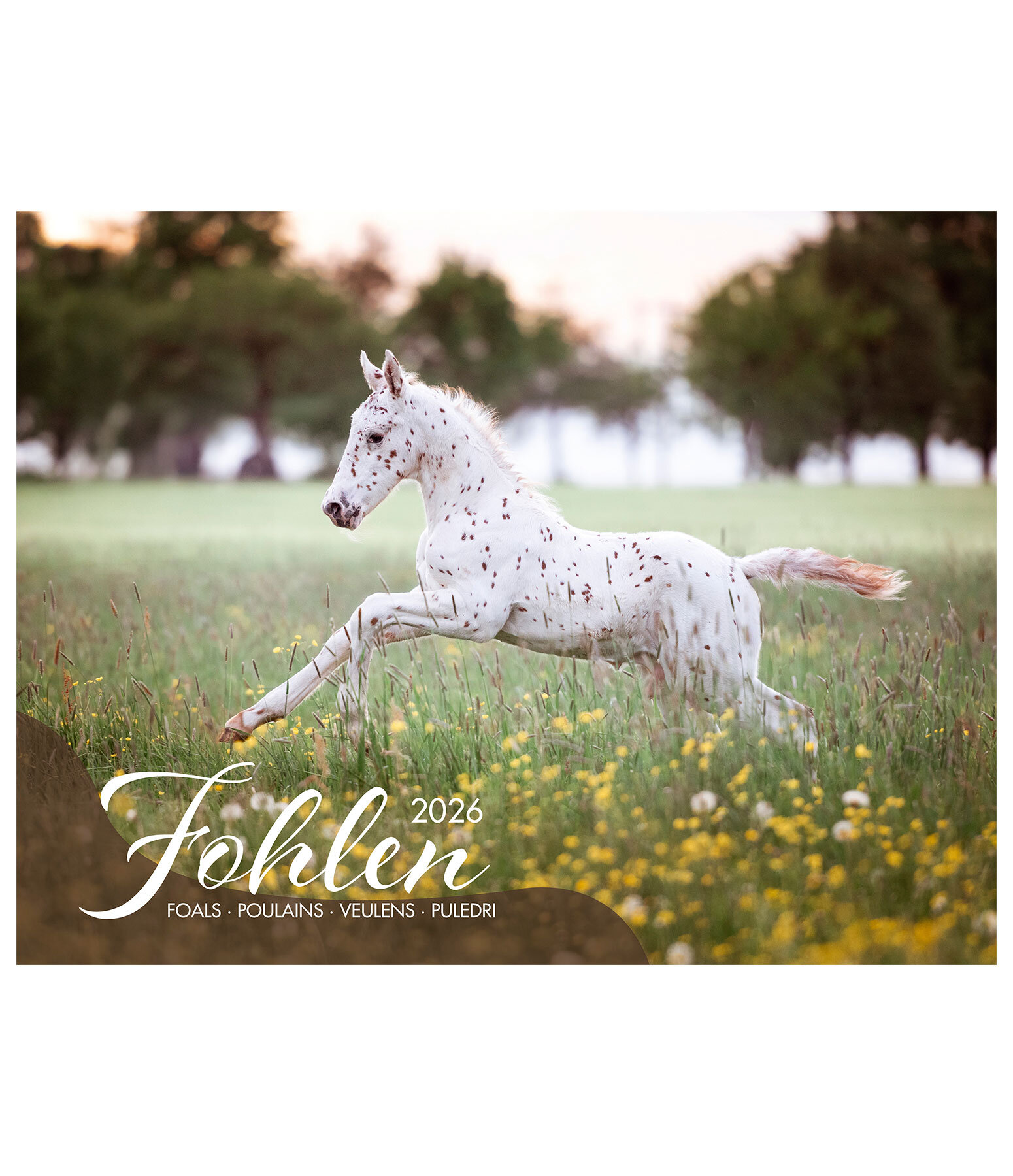 Veulen kalender 2026