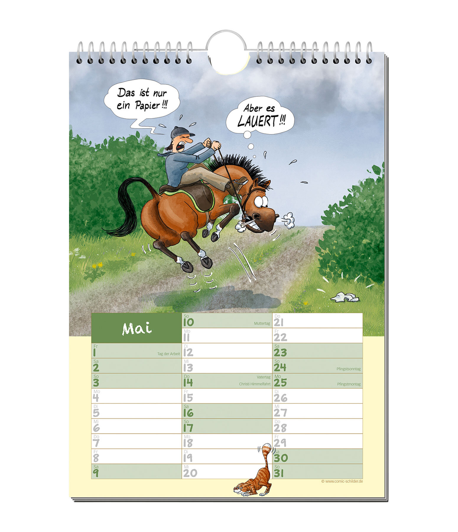 Paardenverhalen: comic kalender 2026