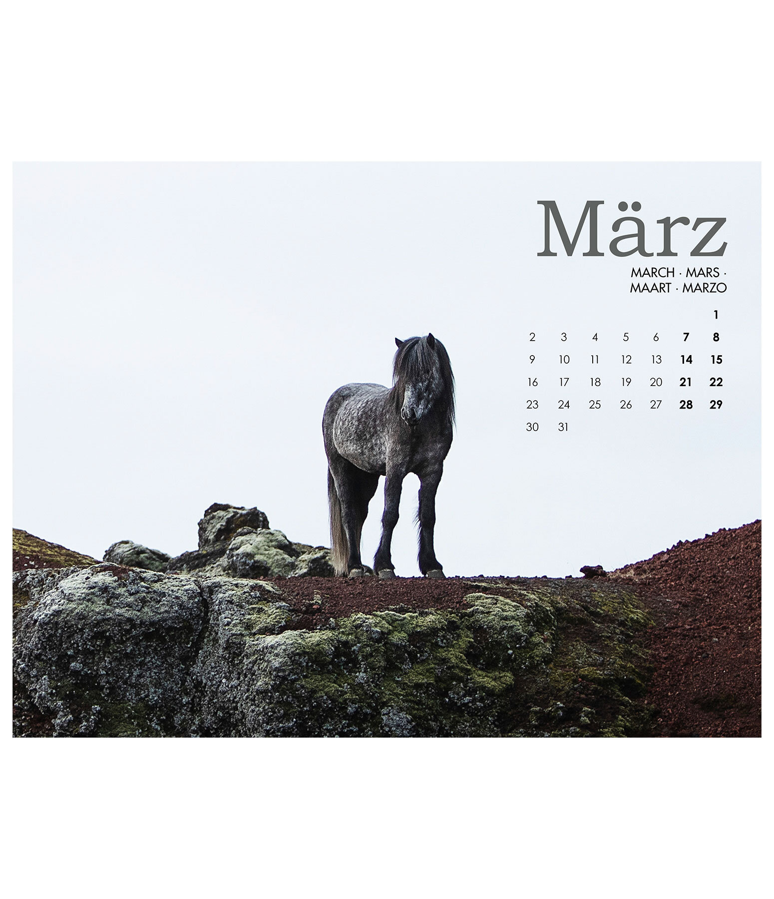 IJslander kalender 2026