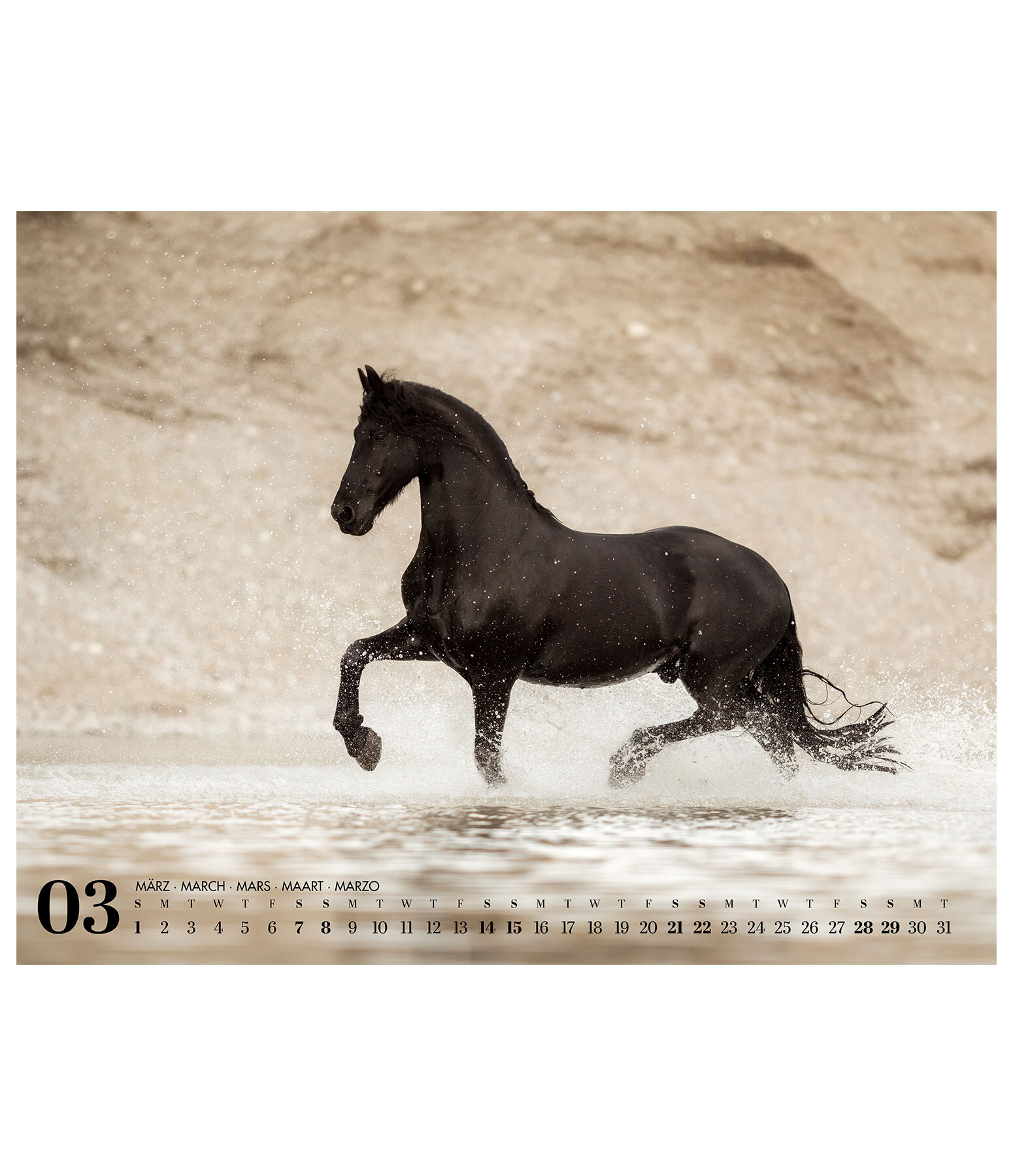 Friesen kalender 2026