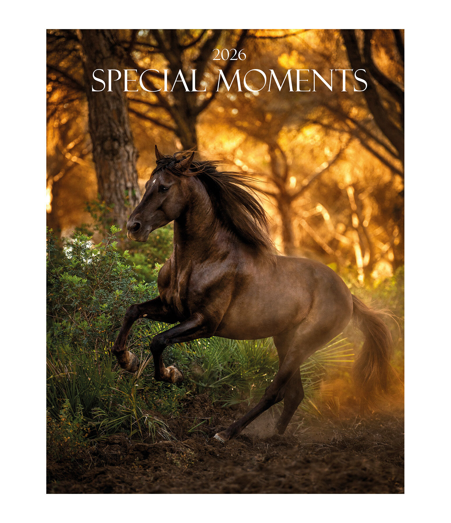 Special Moments Kalender 2025