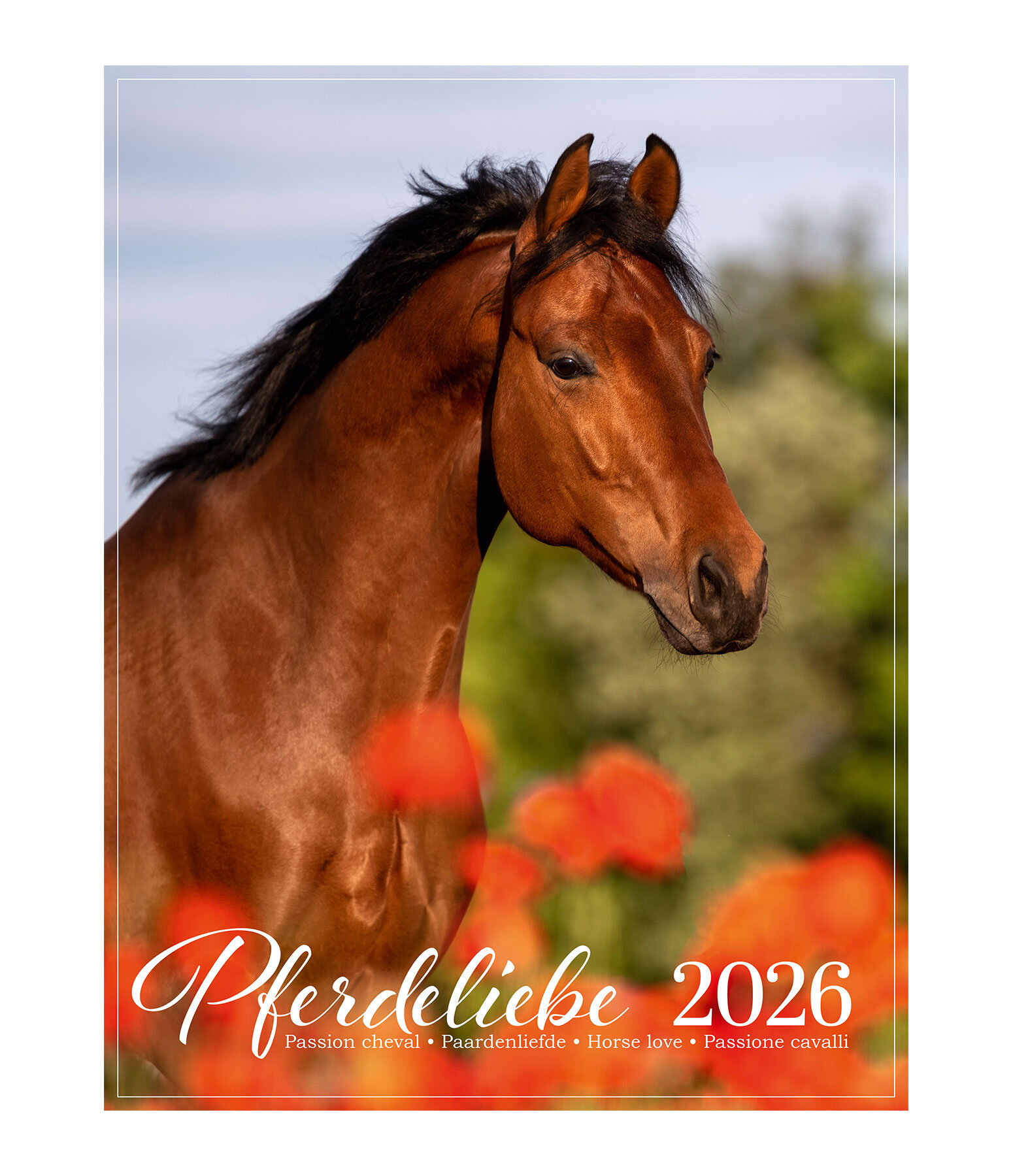 Pony kalender 2025