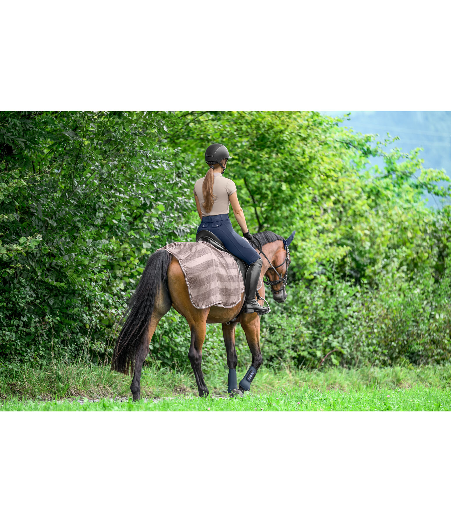 vliegen uitrijdeken Economy Light