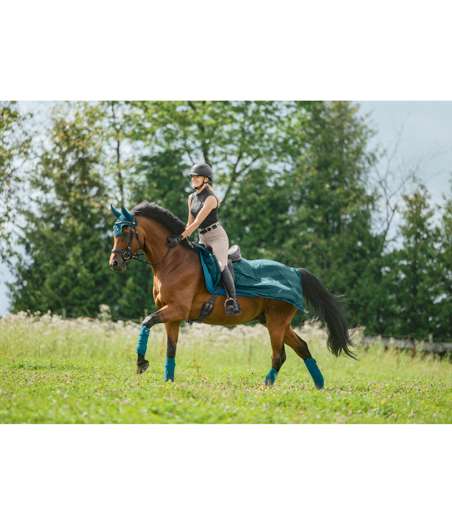 vliegen uitrijdeken Economy Light