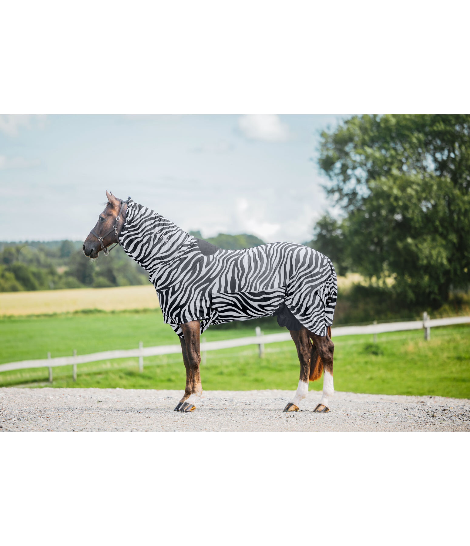 Zebra eczeemdeken Gibson II