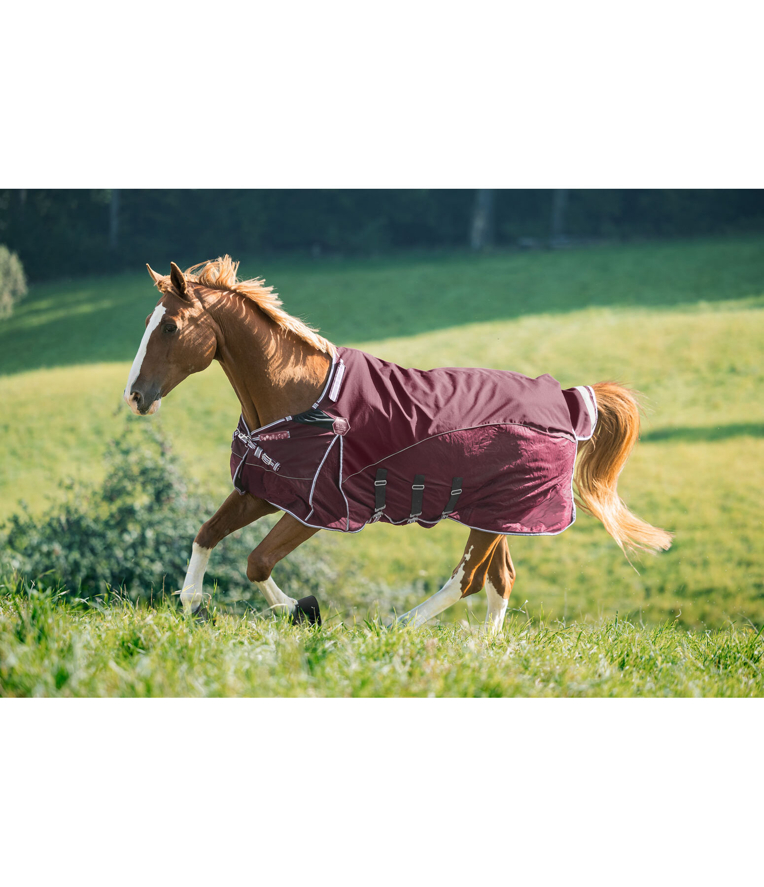all-weather vliegendeken Perfect Fit