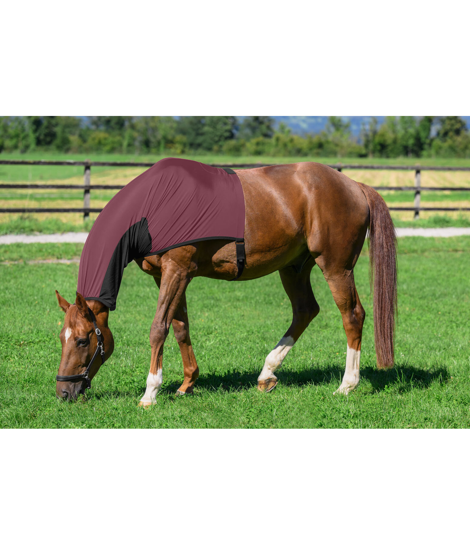 vliegen- en eczeembeschermende halsstuk Stretch Comfort