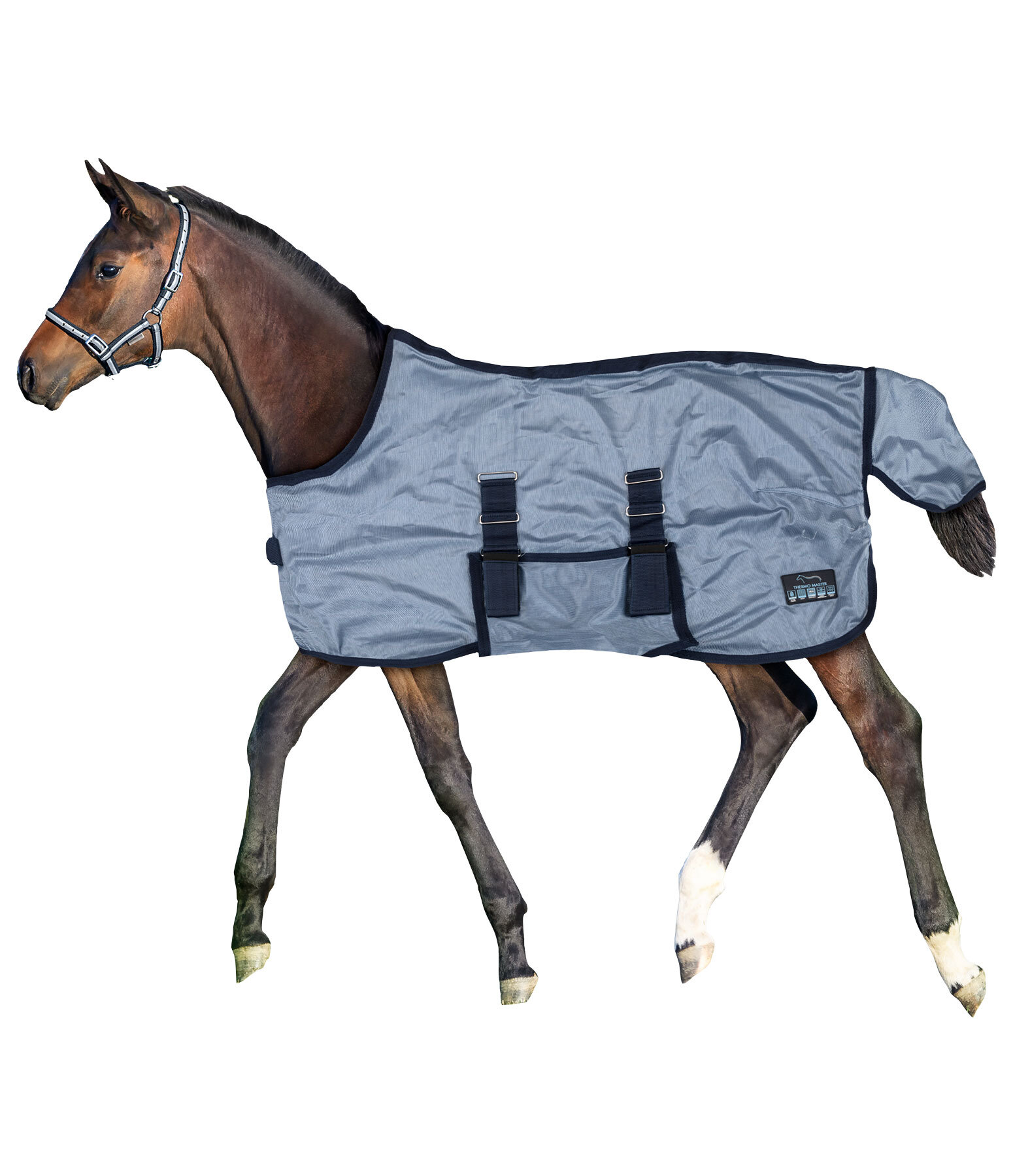 veulen- en minishetland vliegendeken Kubi Fly