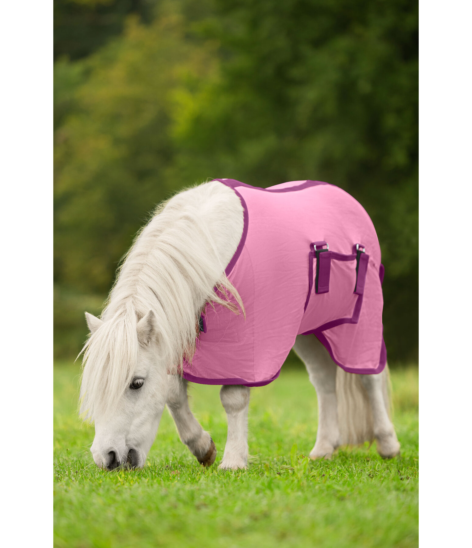 veulen- en minishetland vliegendeken Kubi Fly