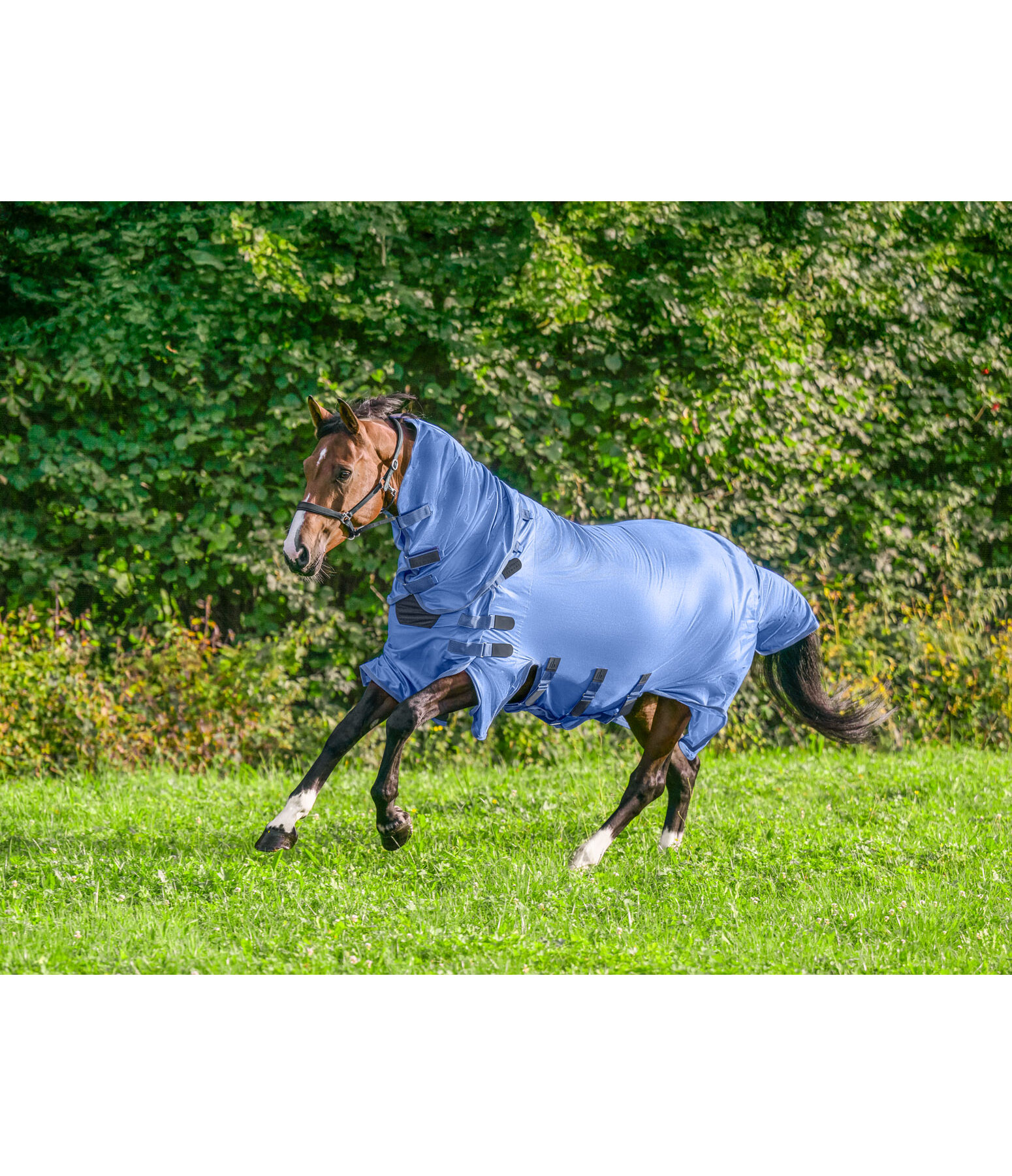 vliegendeken Ultimate Protection met afneembaar halsdeel