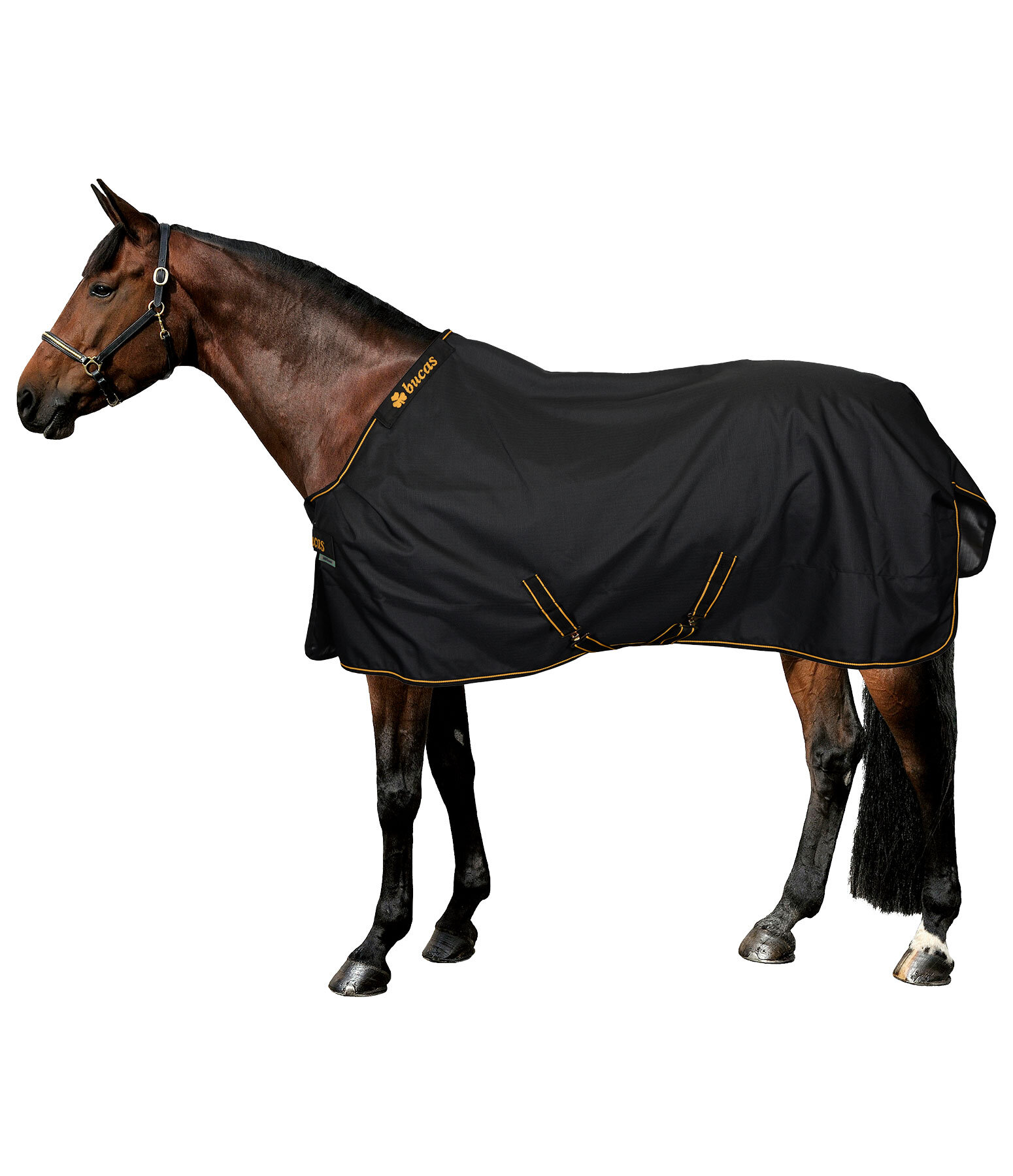 outdoordeken Irish Turnout 50 50 g - Paardensport