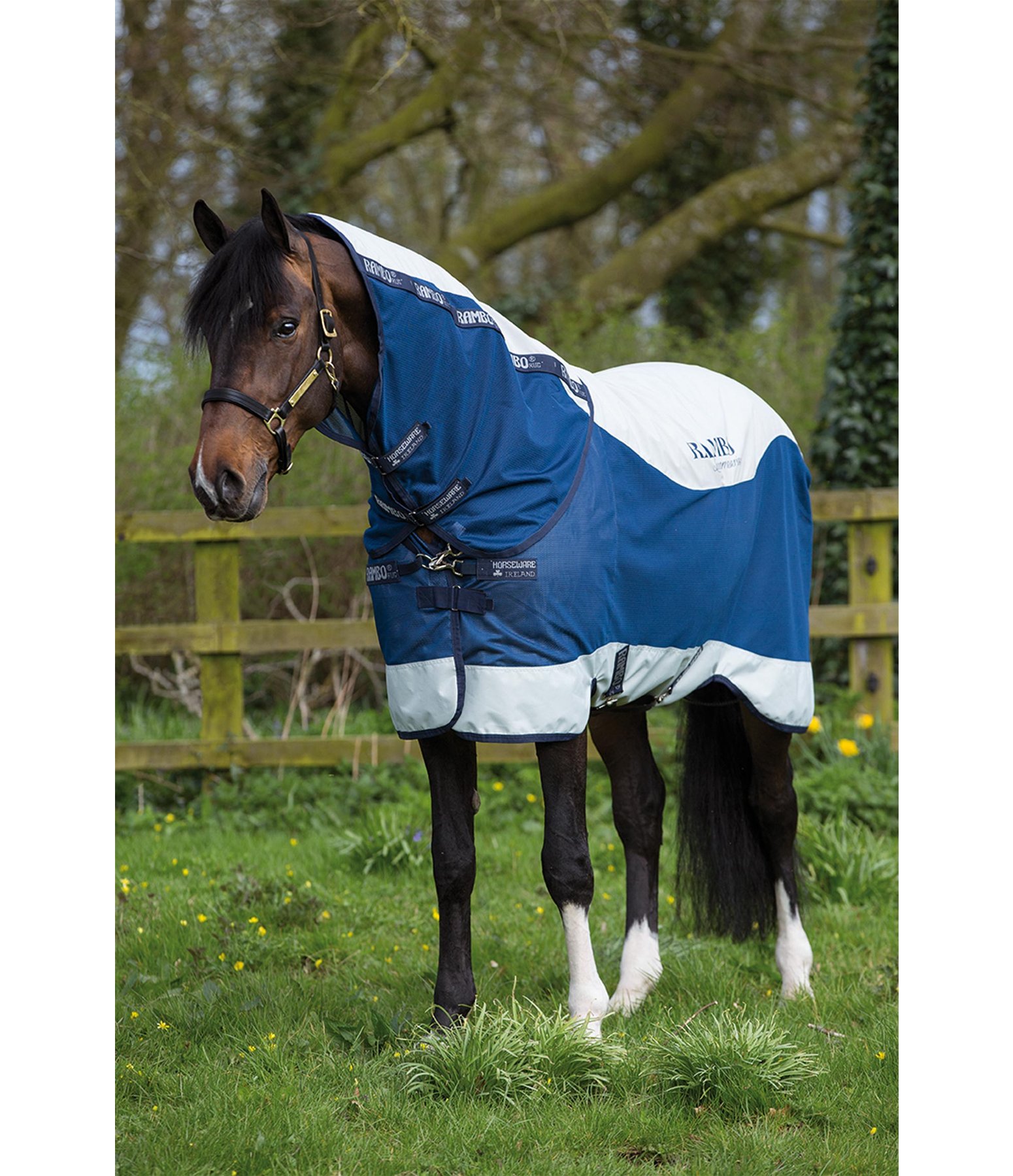 HORSE WARE RAMBO Summer Series Turnout Regendekens Kramer Paardensport