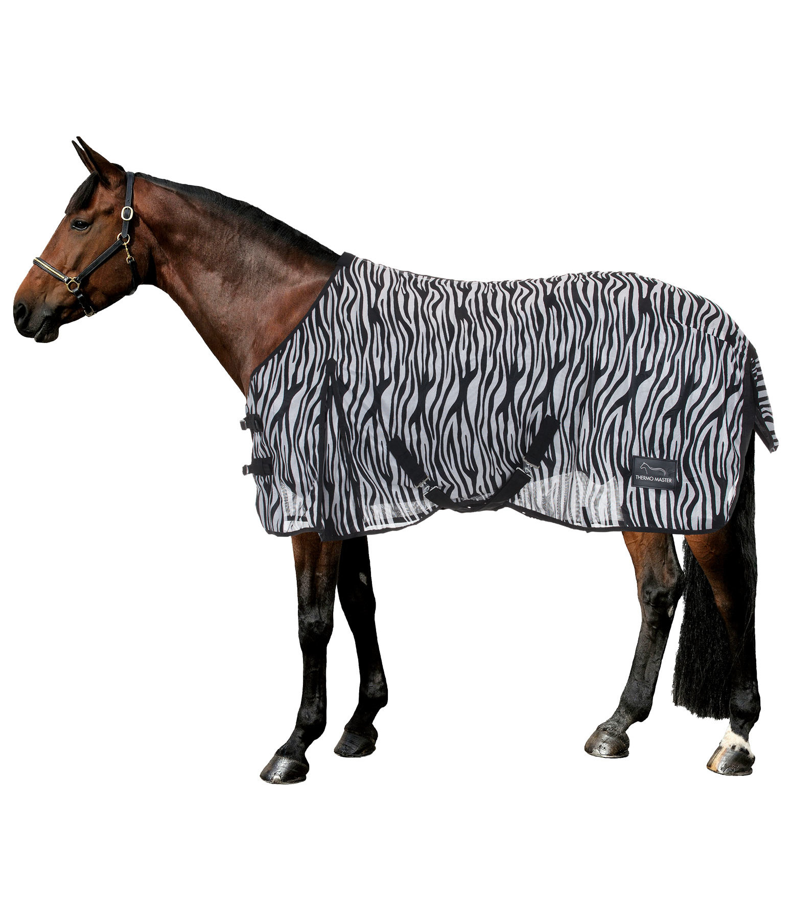 zebra vliegendeken