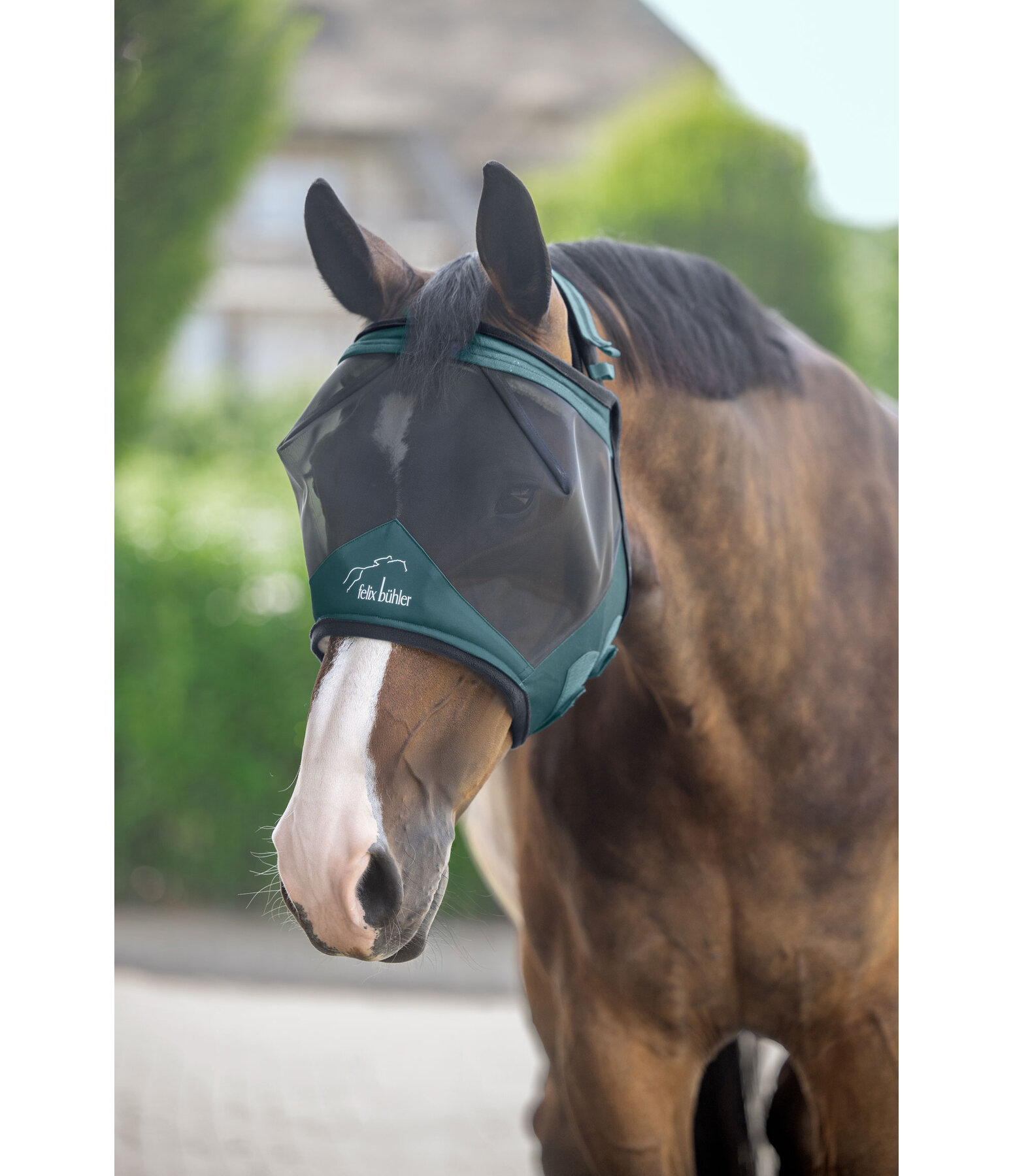 vliegenmasker Ear-Free