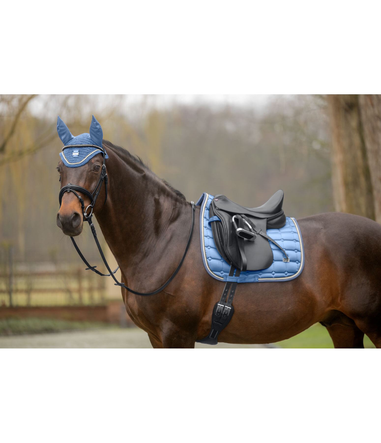 oornetje Essential