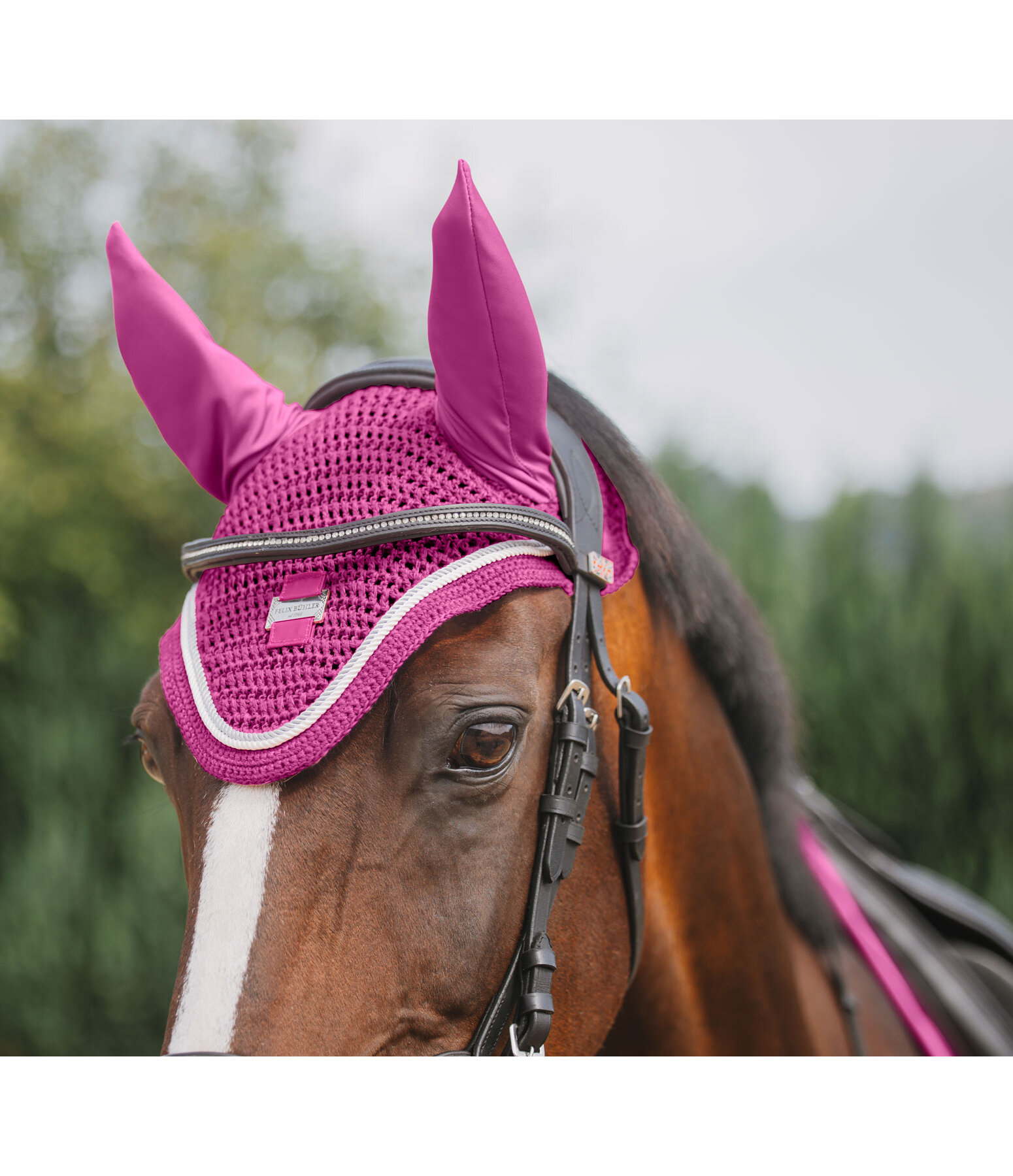 oornetje Essential