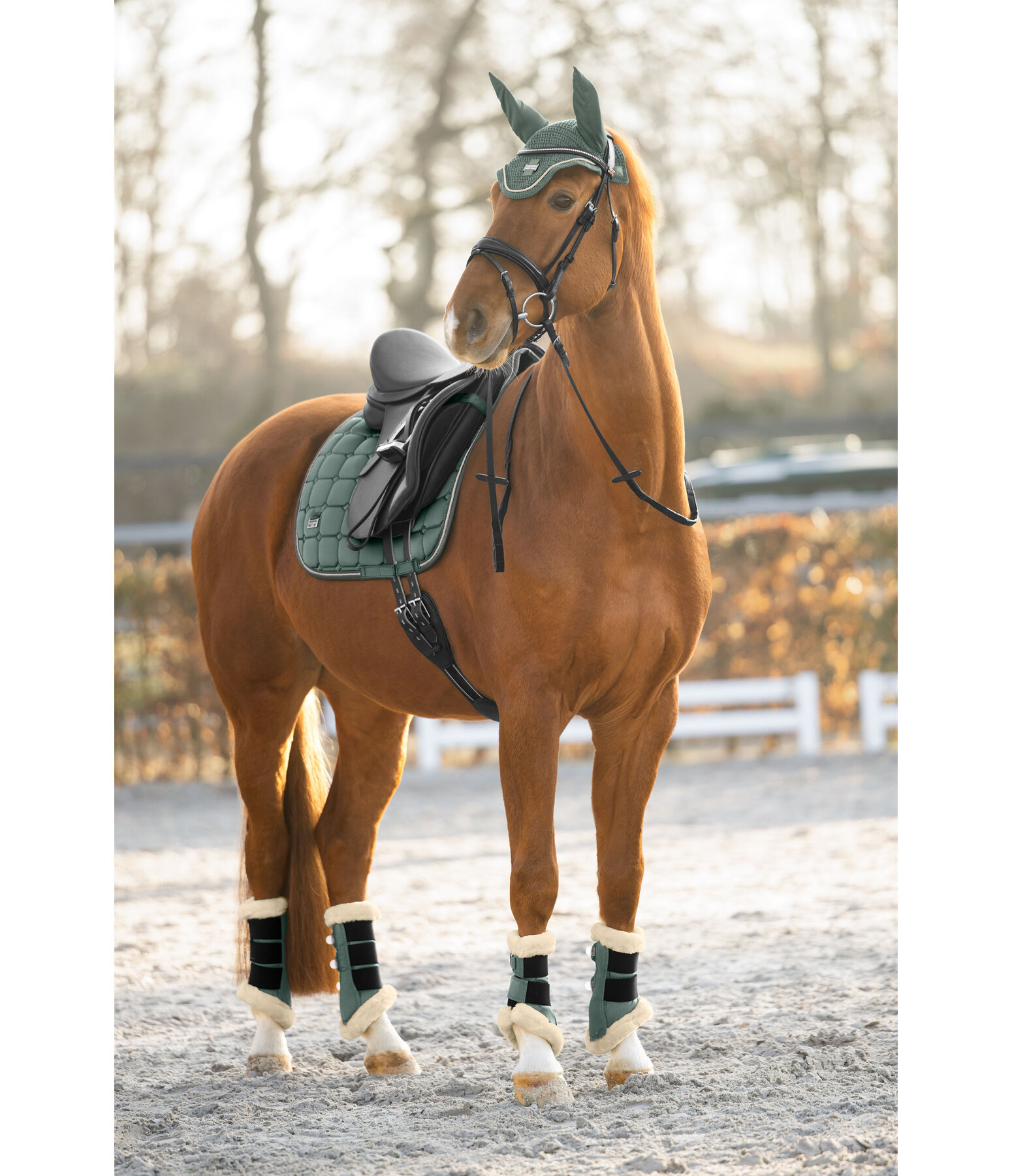 oornetje Essential