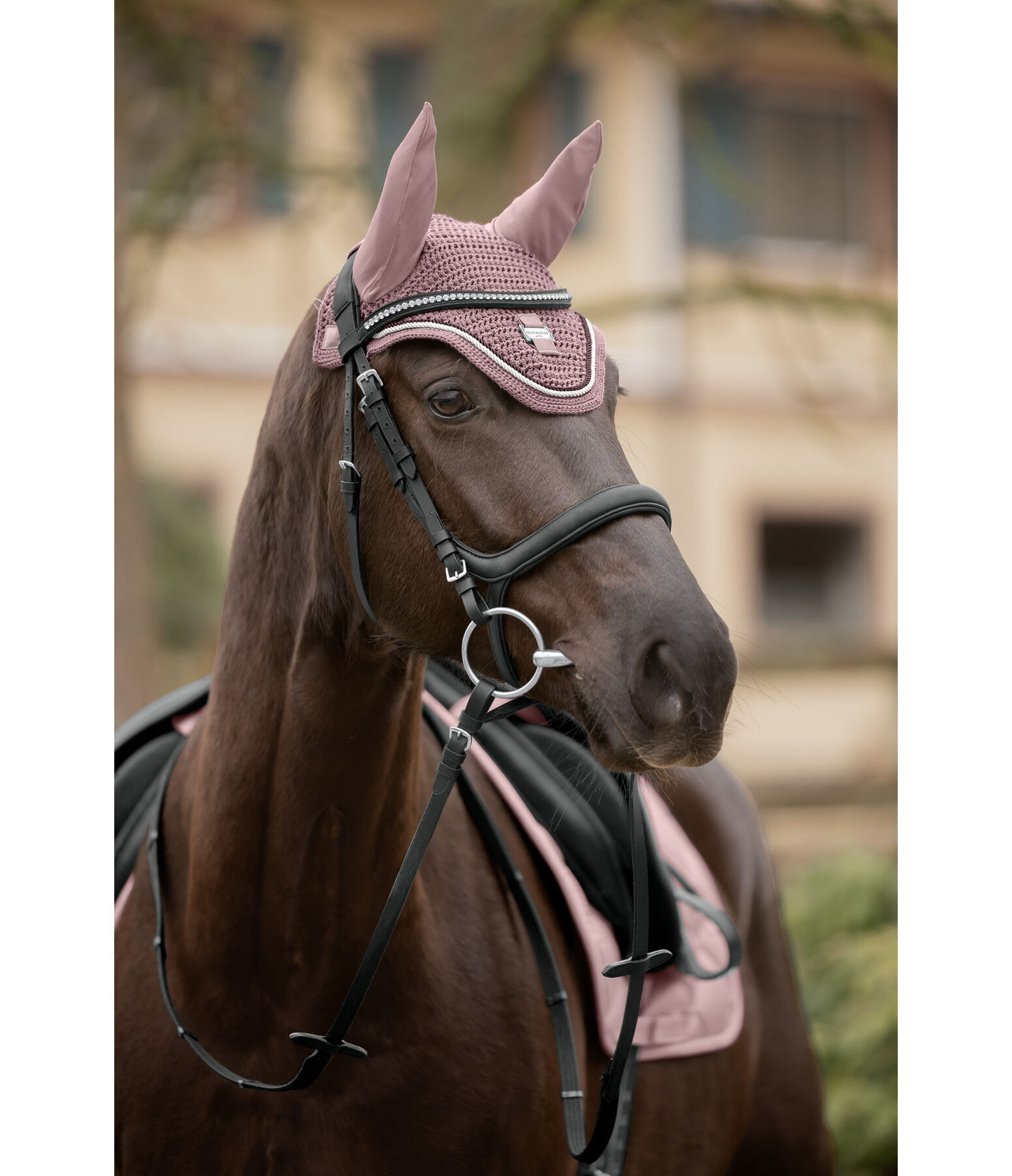 oornetje Essential
