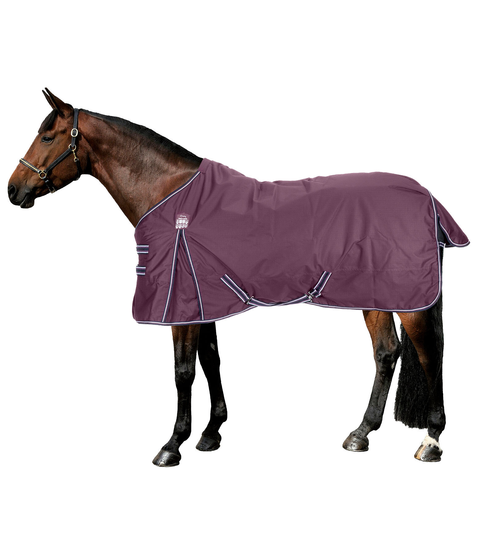 regendeken Kadir IV, 0 g