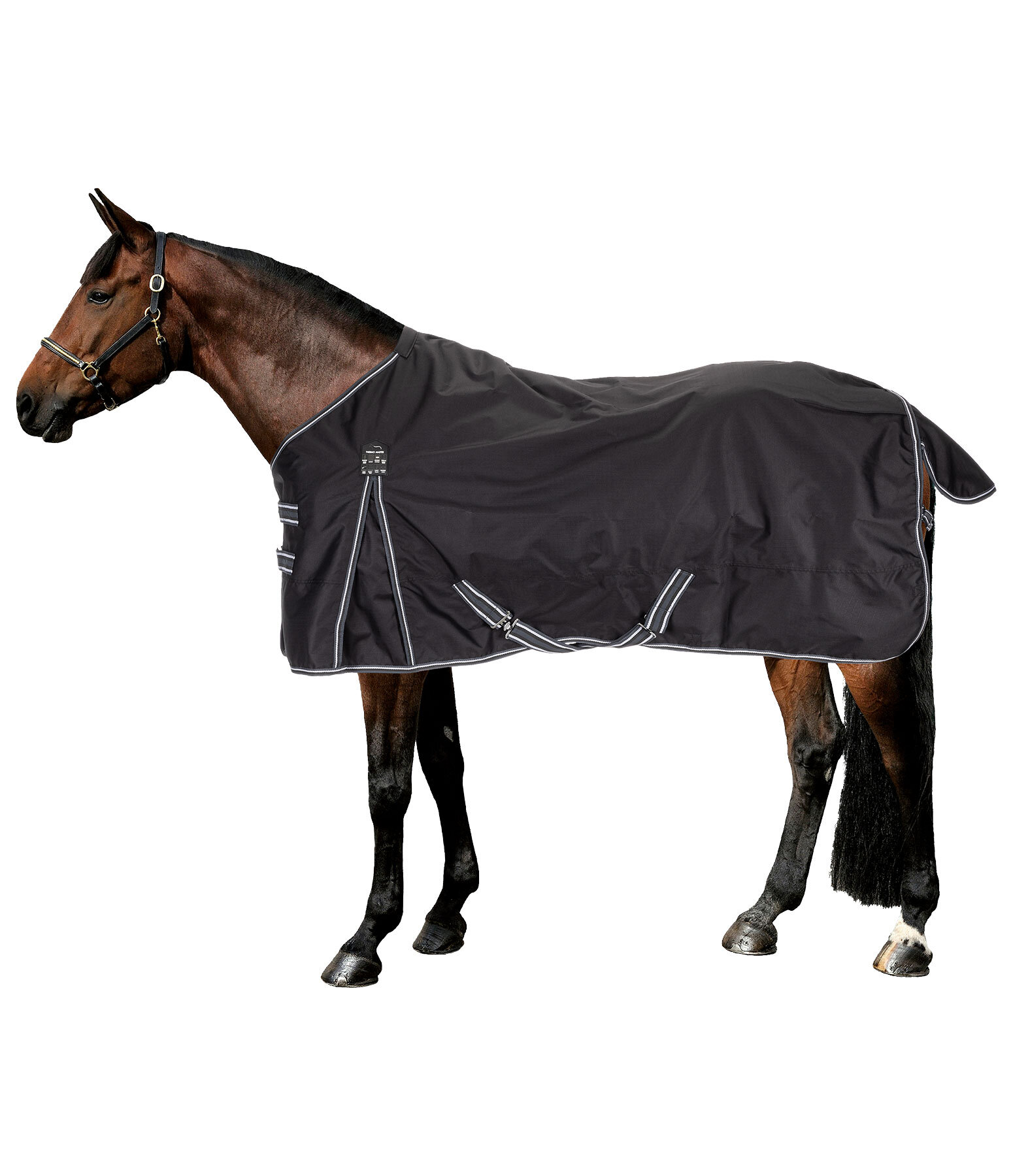 regendeken Kadir IV, 200 g